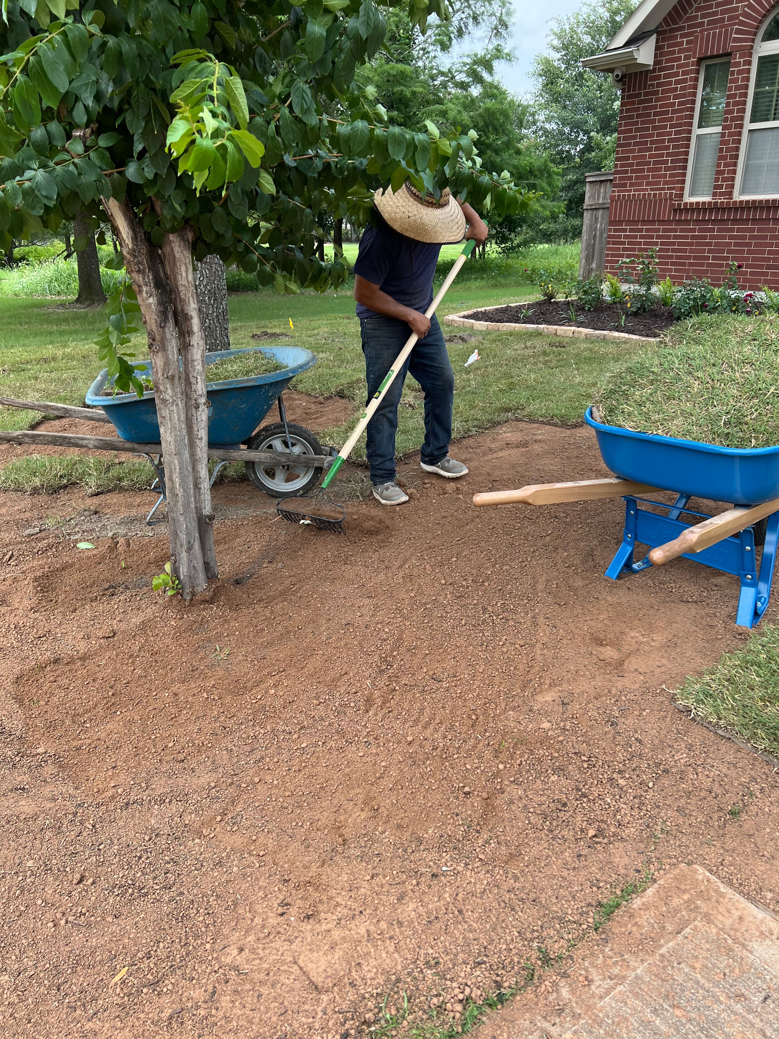 Sod for Silver Mines Landscape & Construction, LLC. in Houston, TX