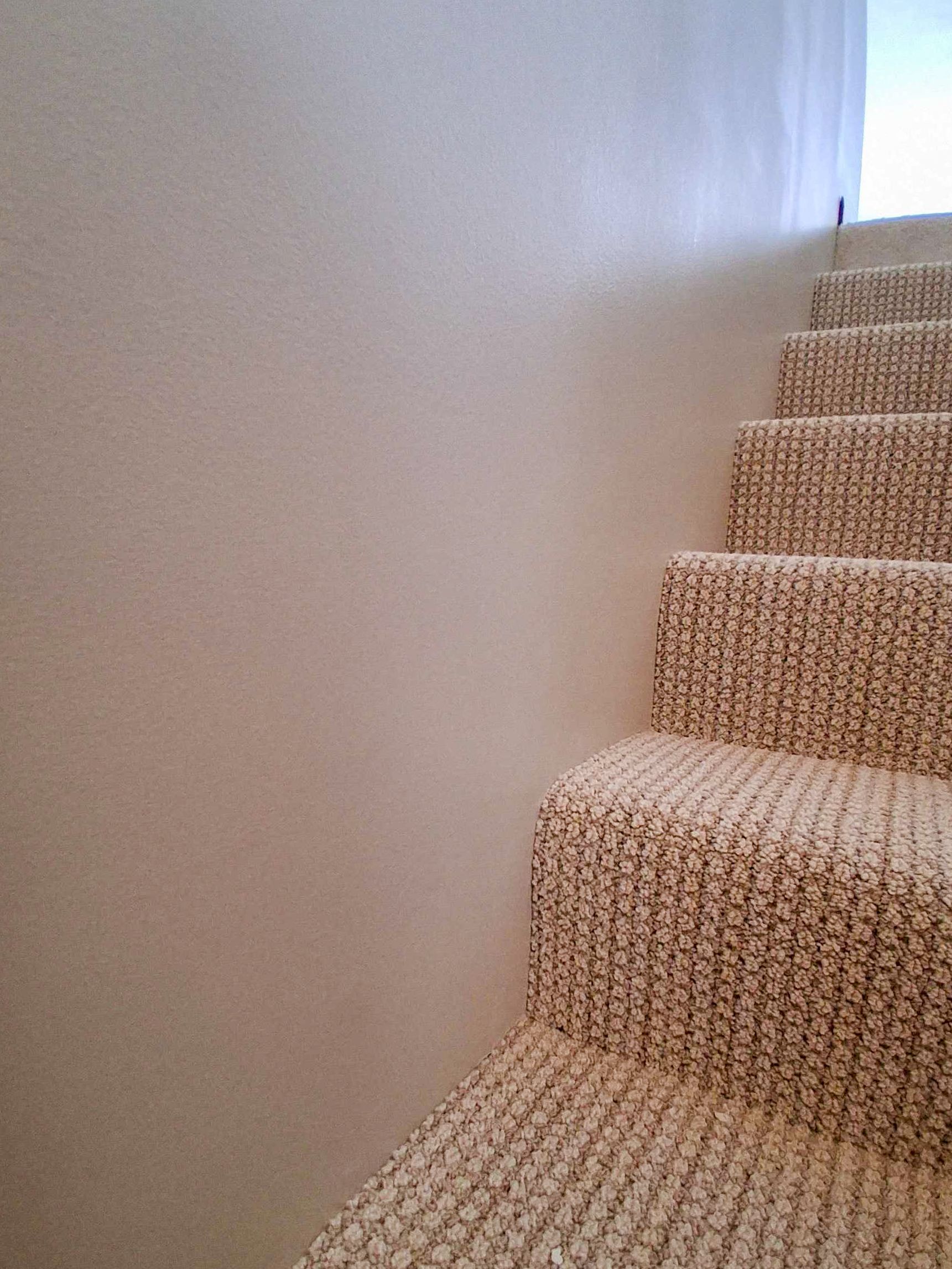 All Photos for Mr. Mole's Painting in Bemidji, MN