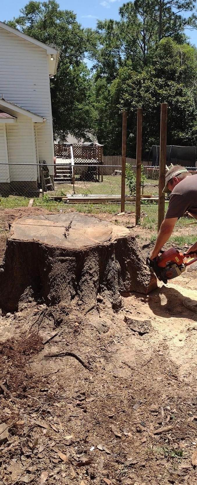 Tree Removal for Southern Venom Services in Daphne, AL