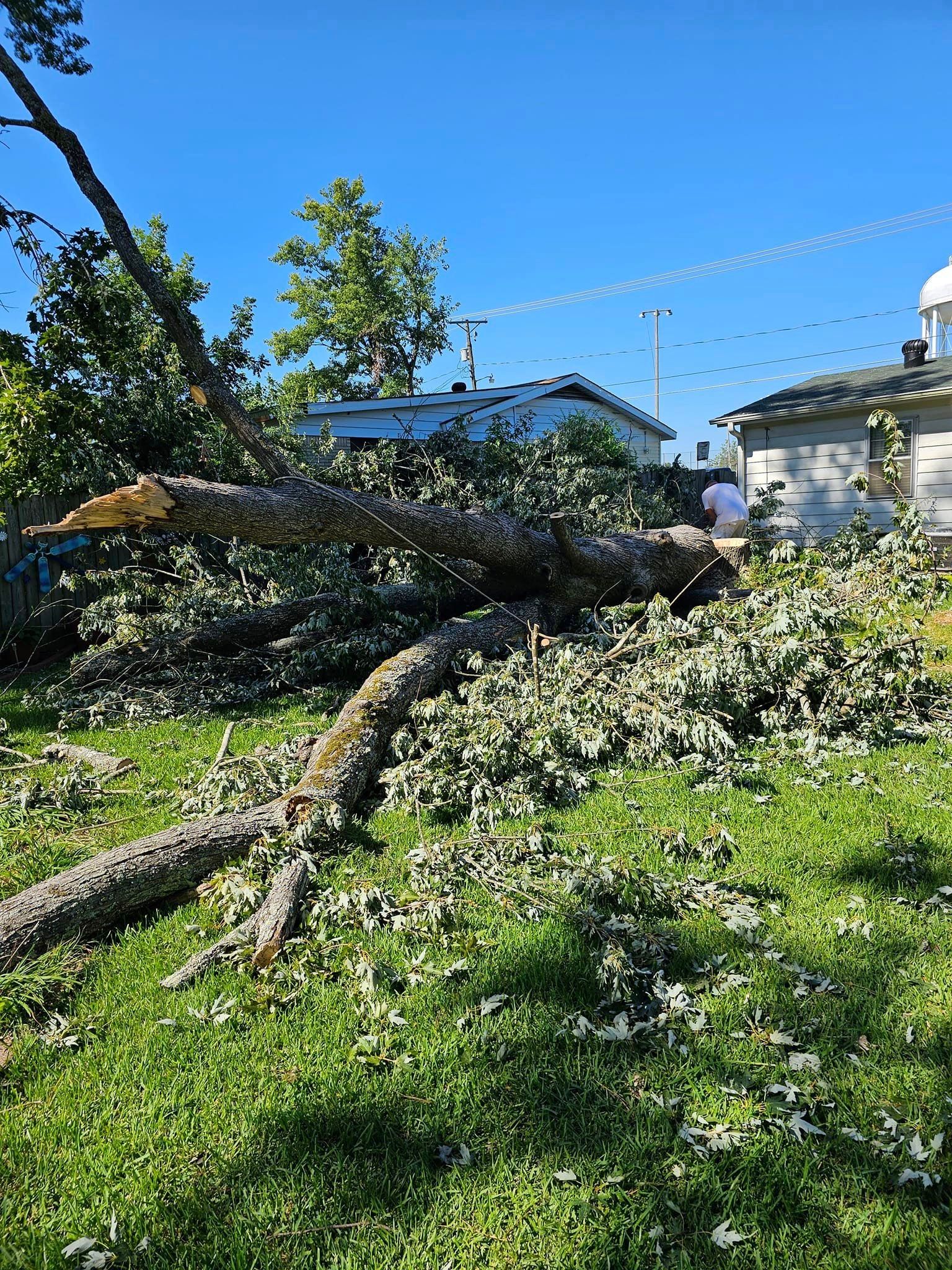 for Millers Tree Service in Saline County, AR
