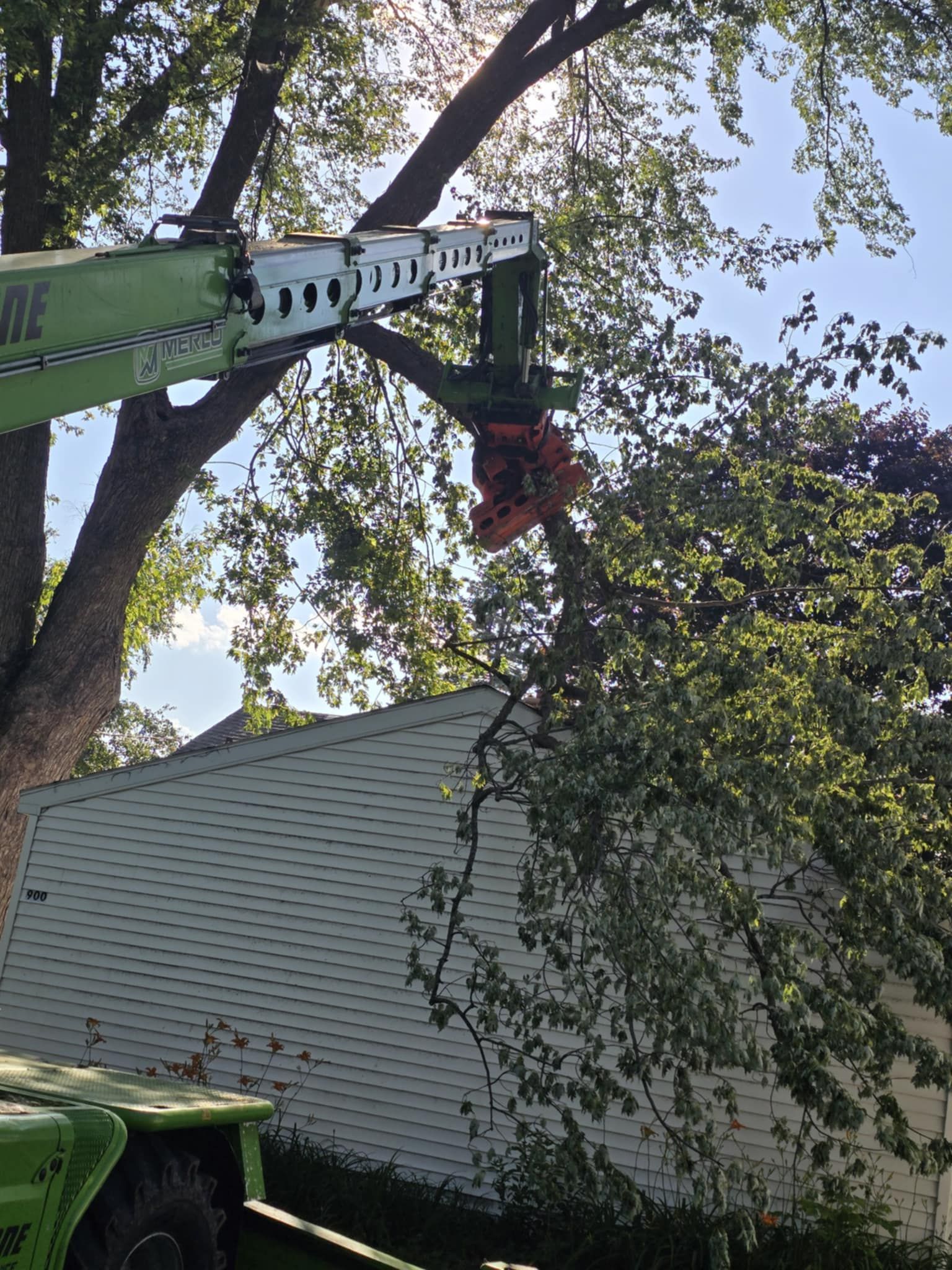 All Photos for Tree-B-Gone in Shawano, WI
