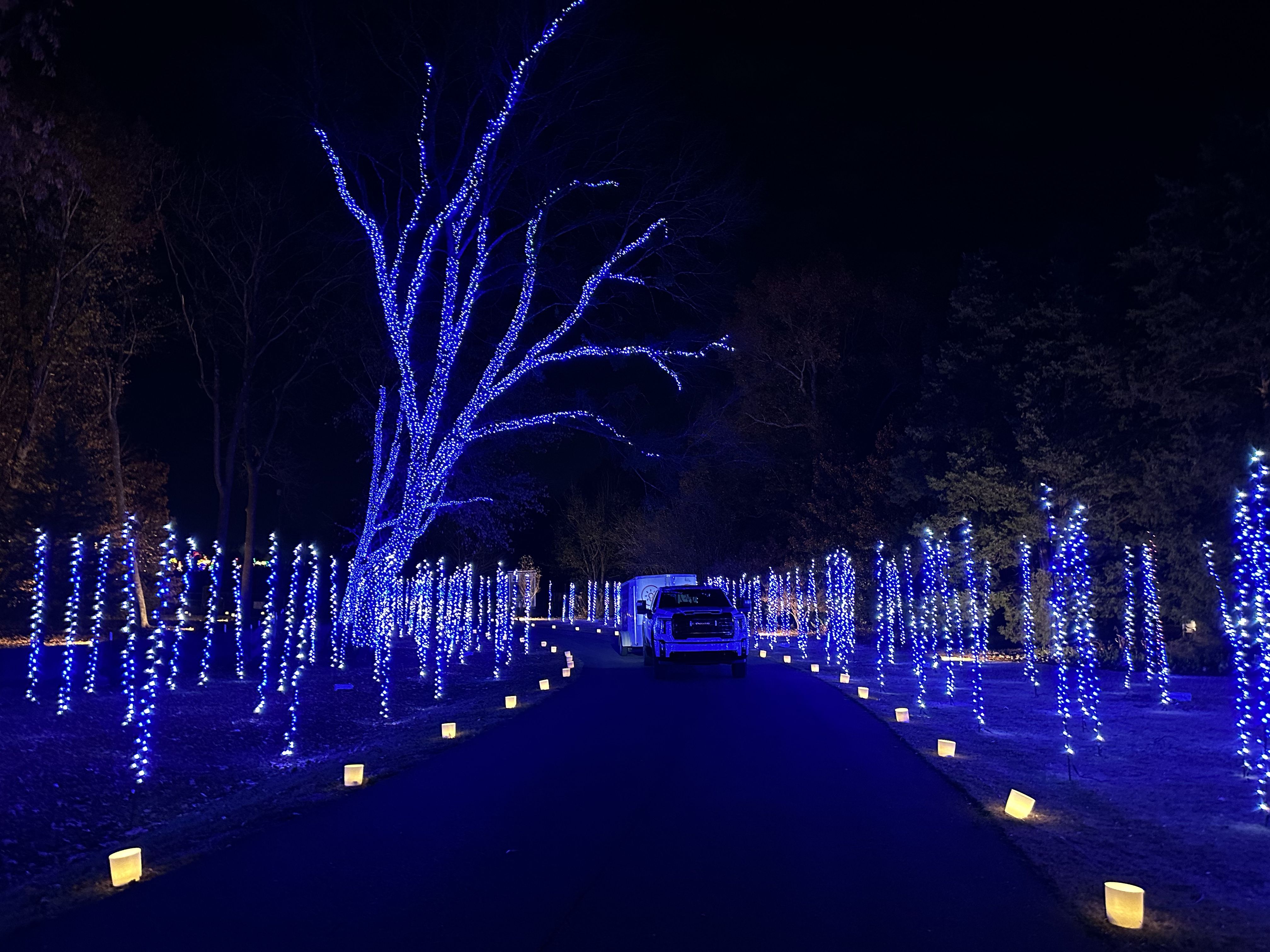  for Holiday Lighting Solutions in Huntsville, AL