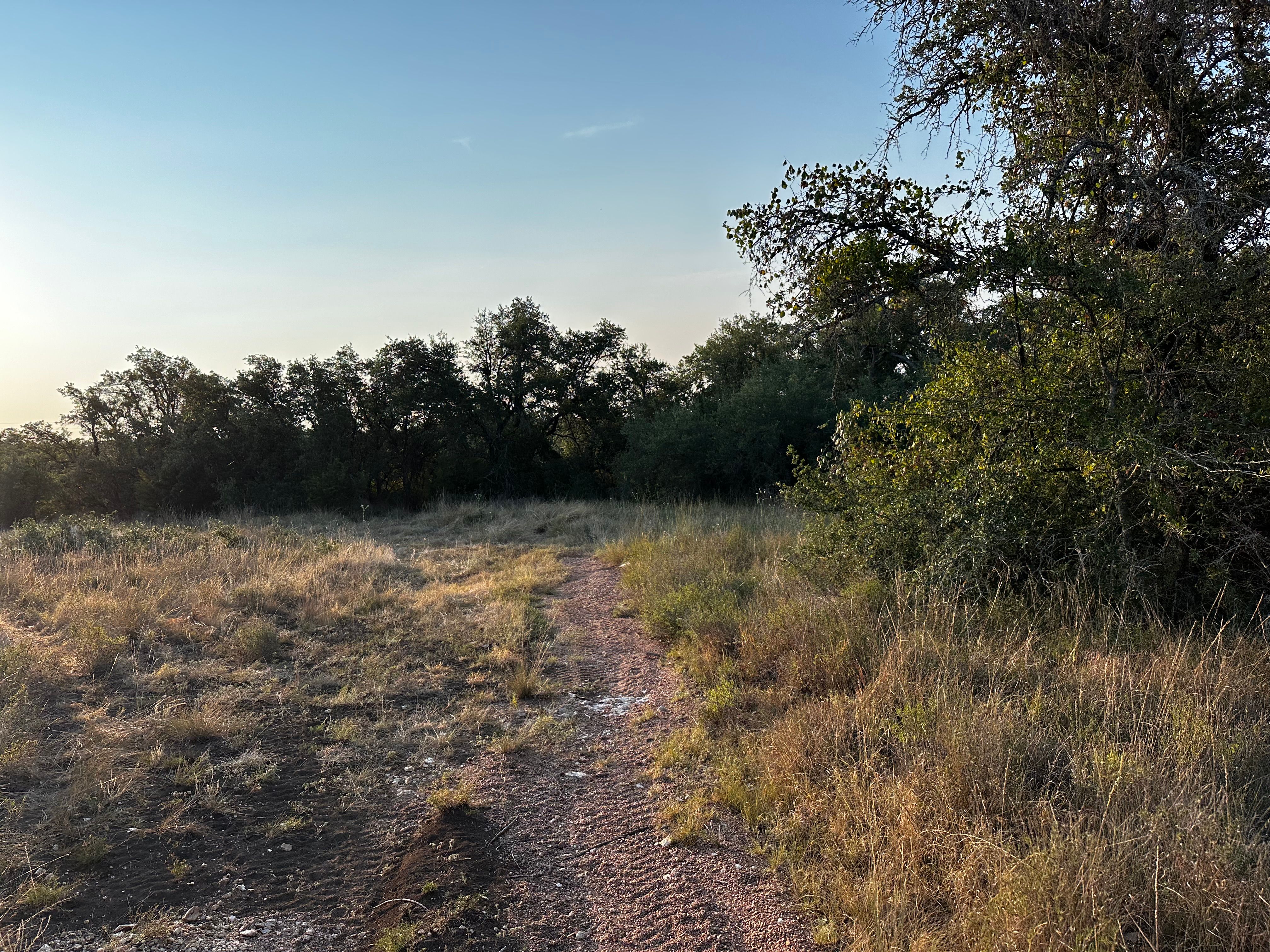  for 512 Land Clearing in Blanco County, TX