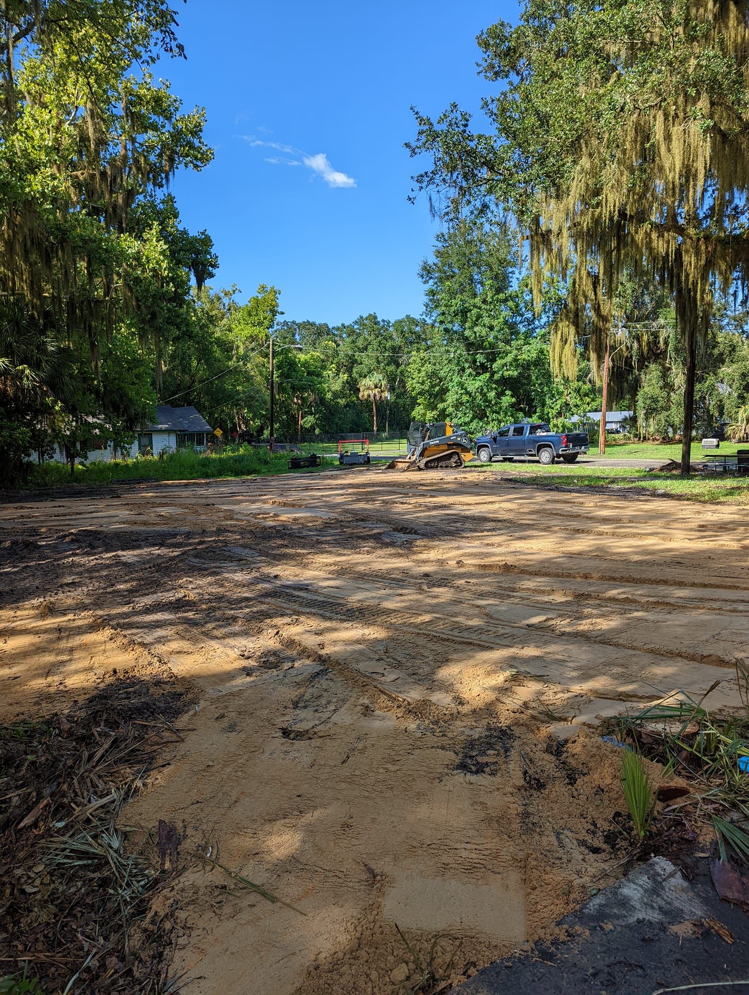 Tree Trimming & Removal for DLC Land Clearing in Glen Saint Mary, FL
