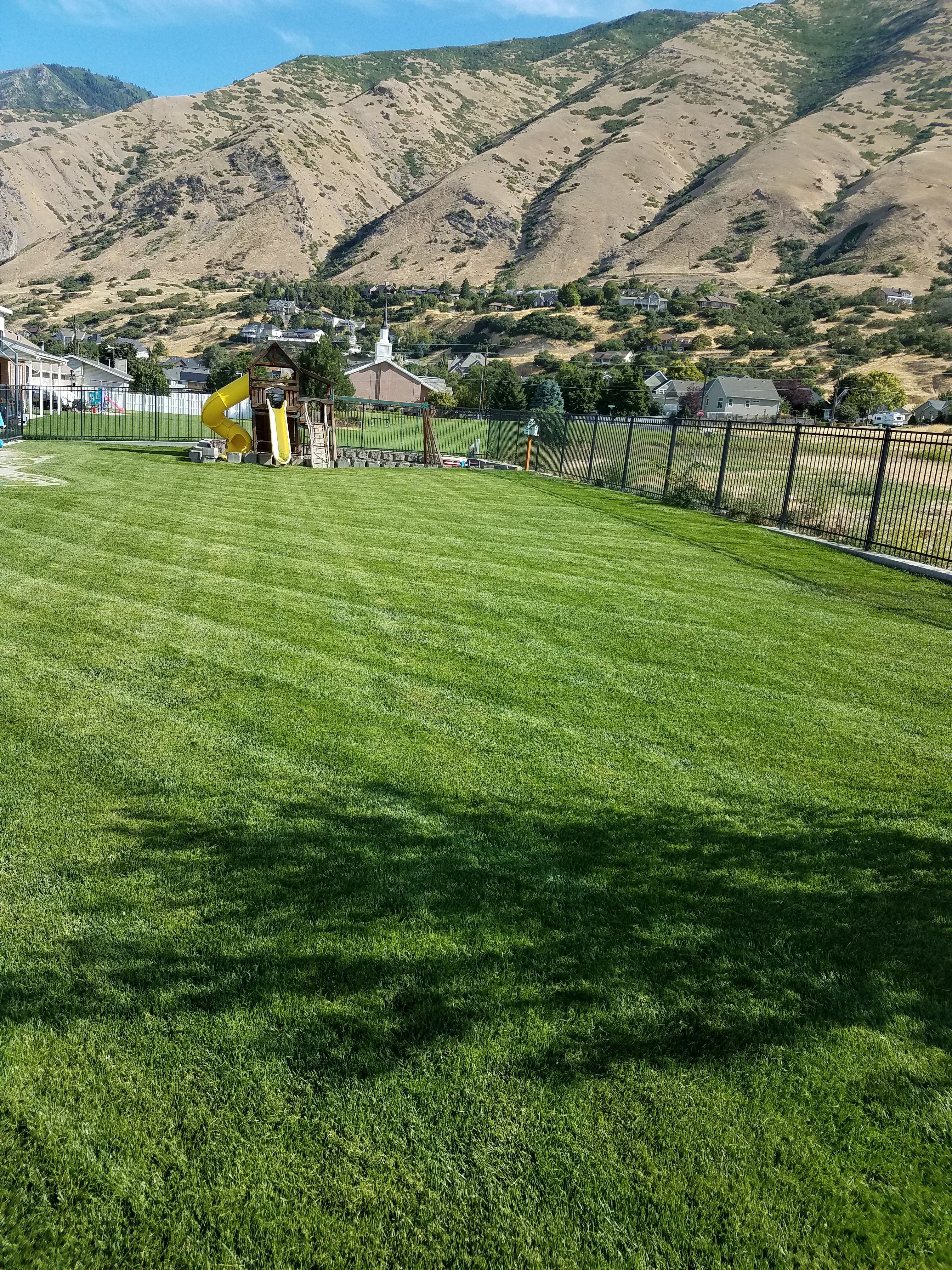  for Platinum Lawn Service in Santaquin, UT