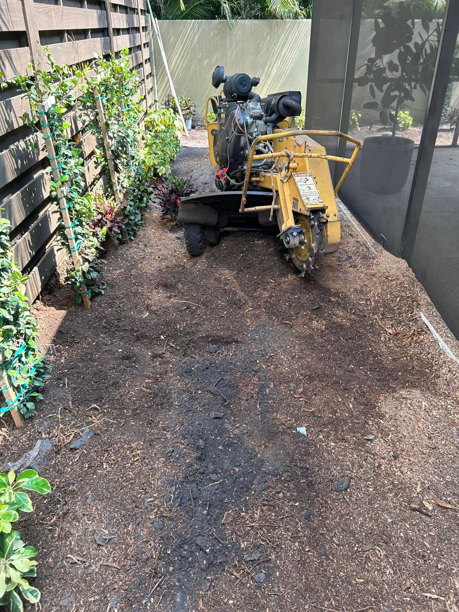  for Grizzly Stump Grinding in Sarasota, FL