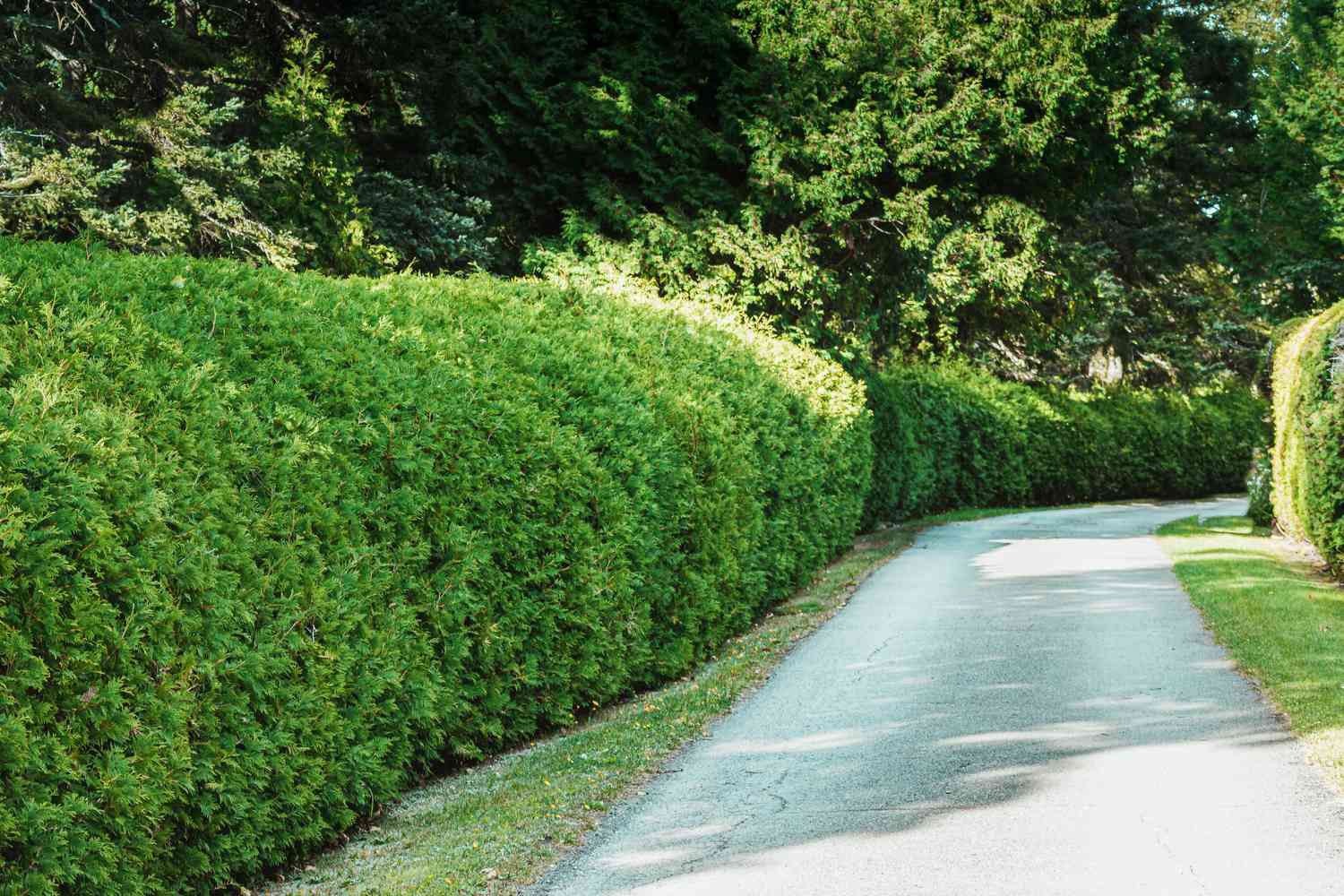 All Photos for T & L Landscaping and Handyman in Saylorsburg, PA