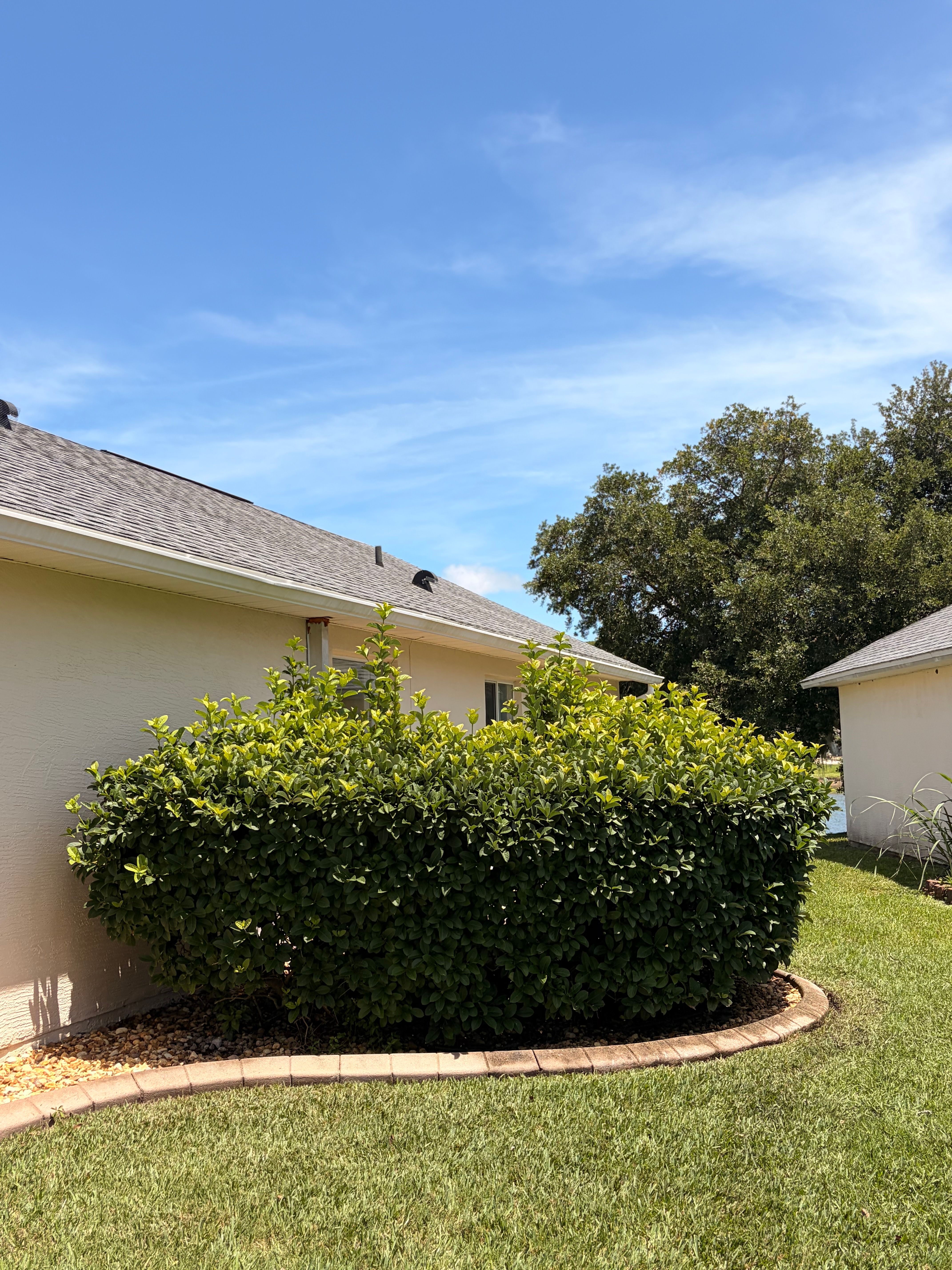  for Vanic's Landscaping in Port Orange, FL