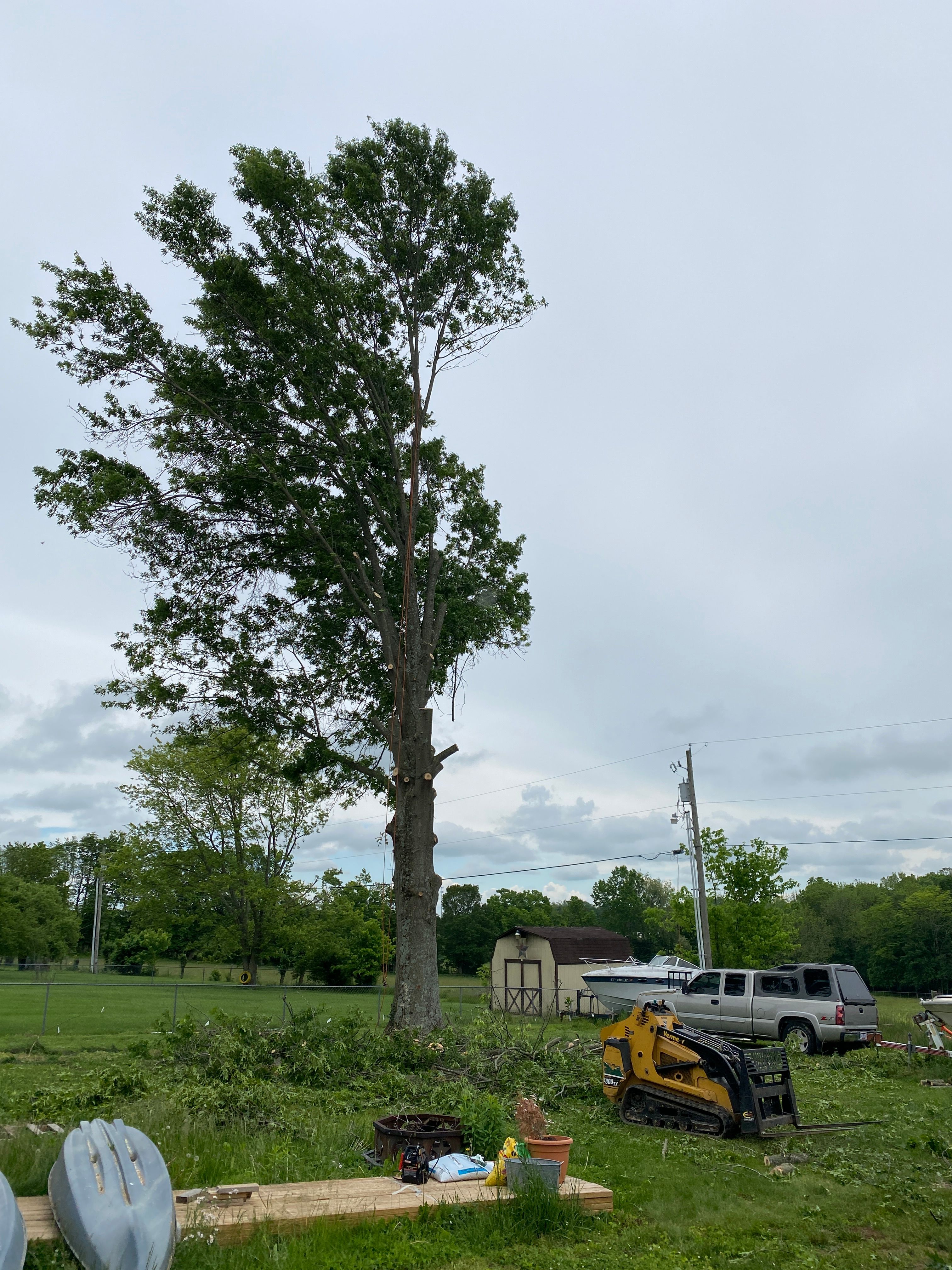 All Photos for Houtz Tree Service in Lexington, KY