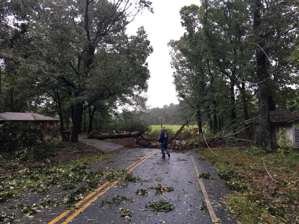  for Clear Tree Land Solutions in Dawson County, GA
