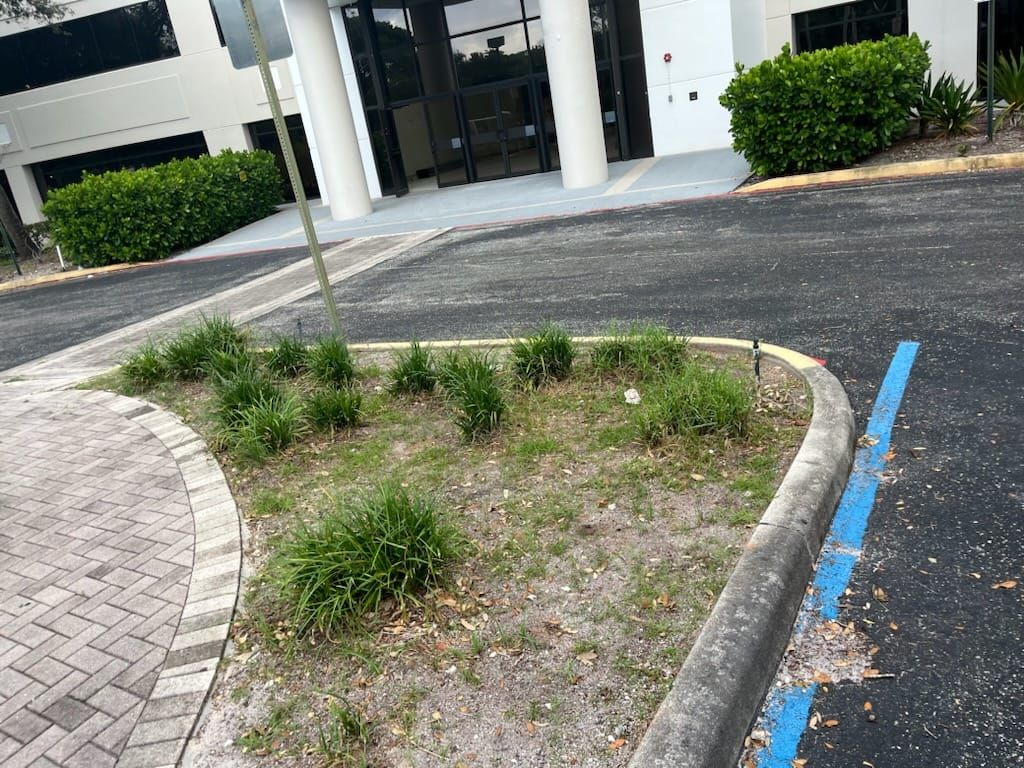  for Bridgewater Arbor Care LLC in Jupiter, FL