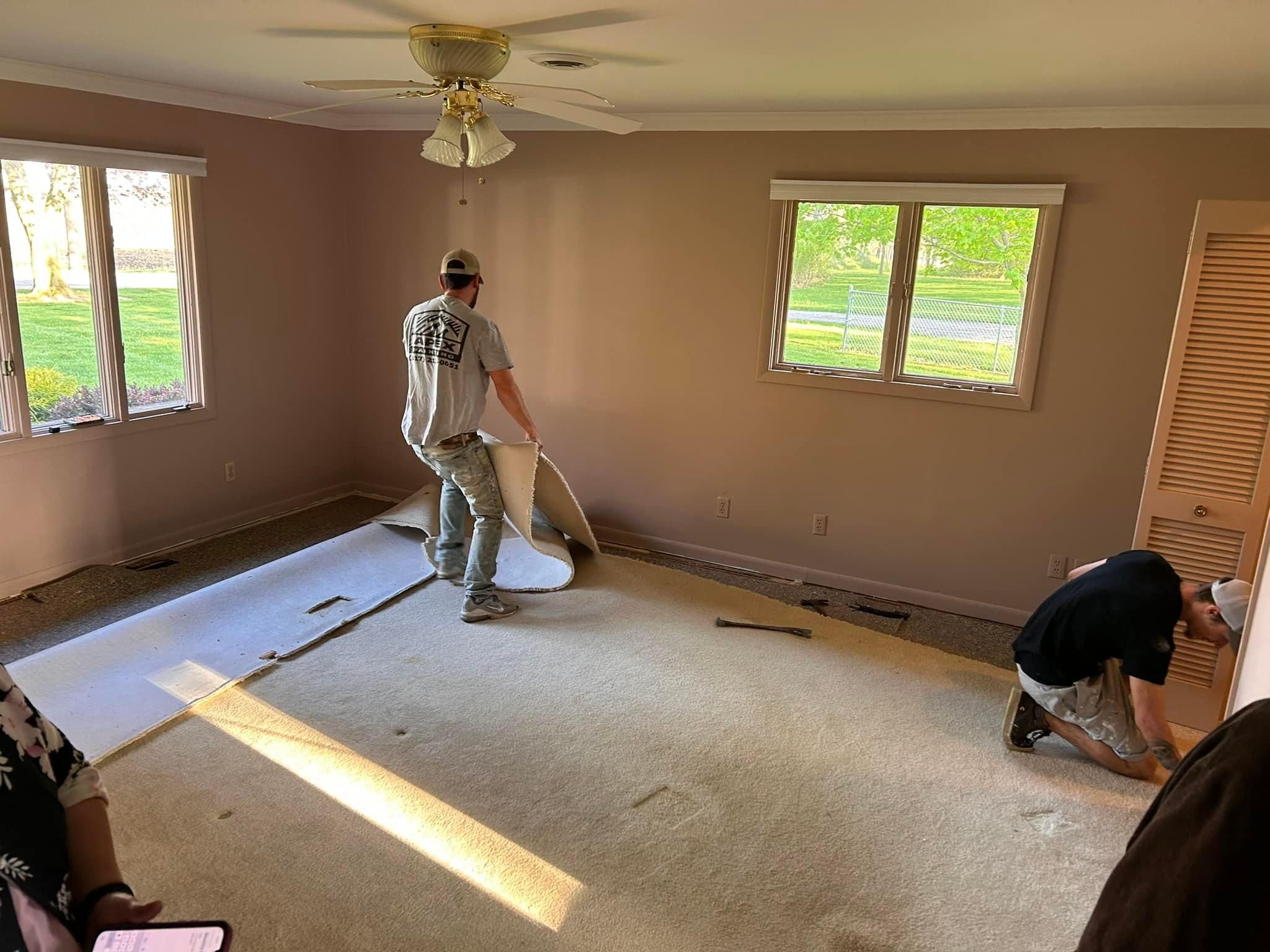  for Apex Painting in Livonia, MI