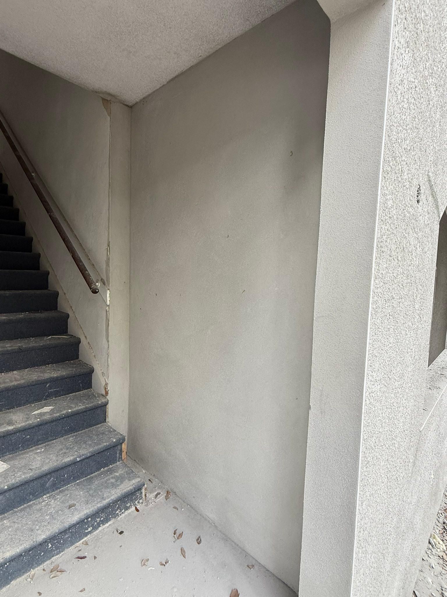  for Escorpio Painting in Tampa, FL