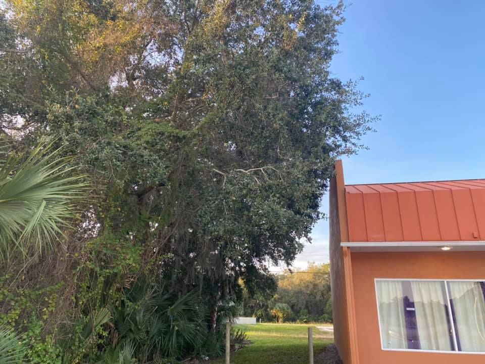  for Alpha Trees Service and Property Management in Port Charlotte, FL