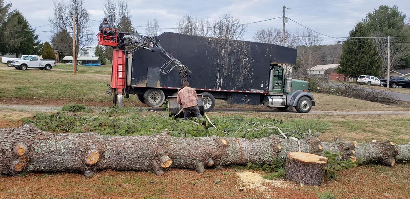  for Reagan & Sons Tree Service in Dandridge, TN