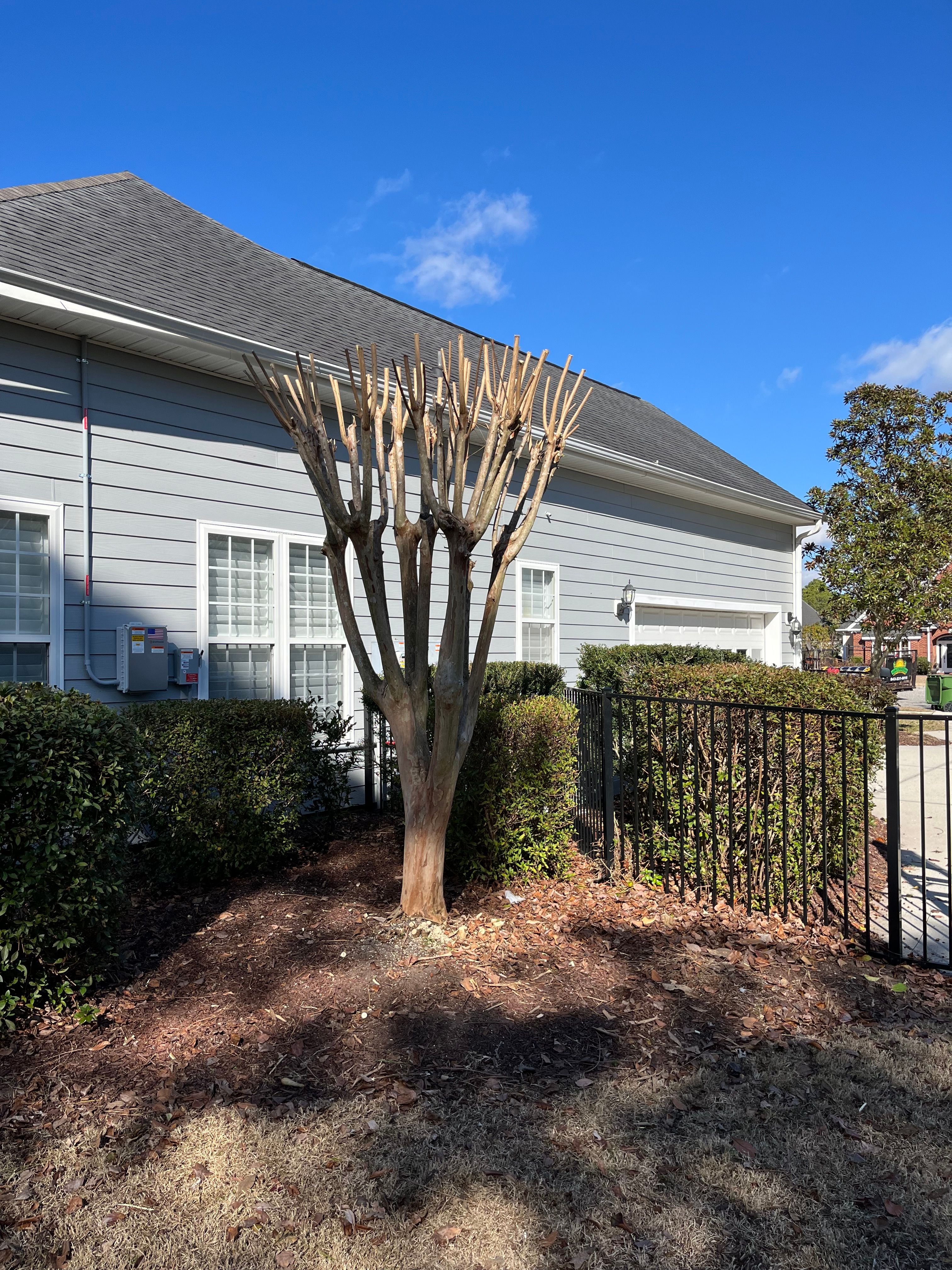  for New Creation Landscaping in Myrtle Beach, SC