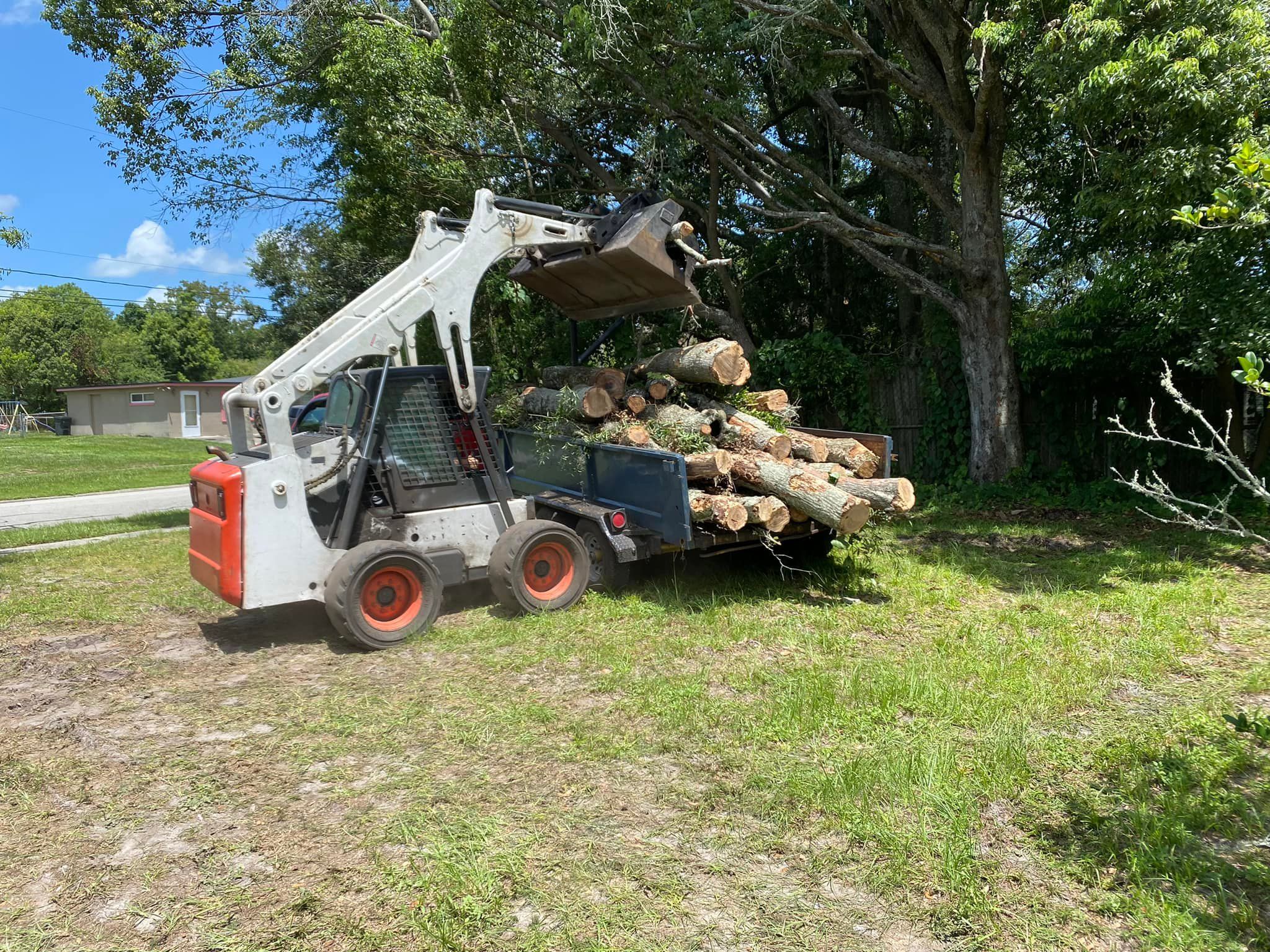  for Fast Cut Tree Service in Jacksonville Heights, FL