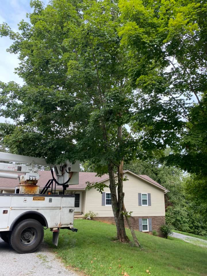 Tree Removal for Atwood’s Tree Care in Liberty,  KY