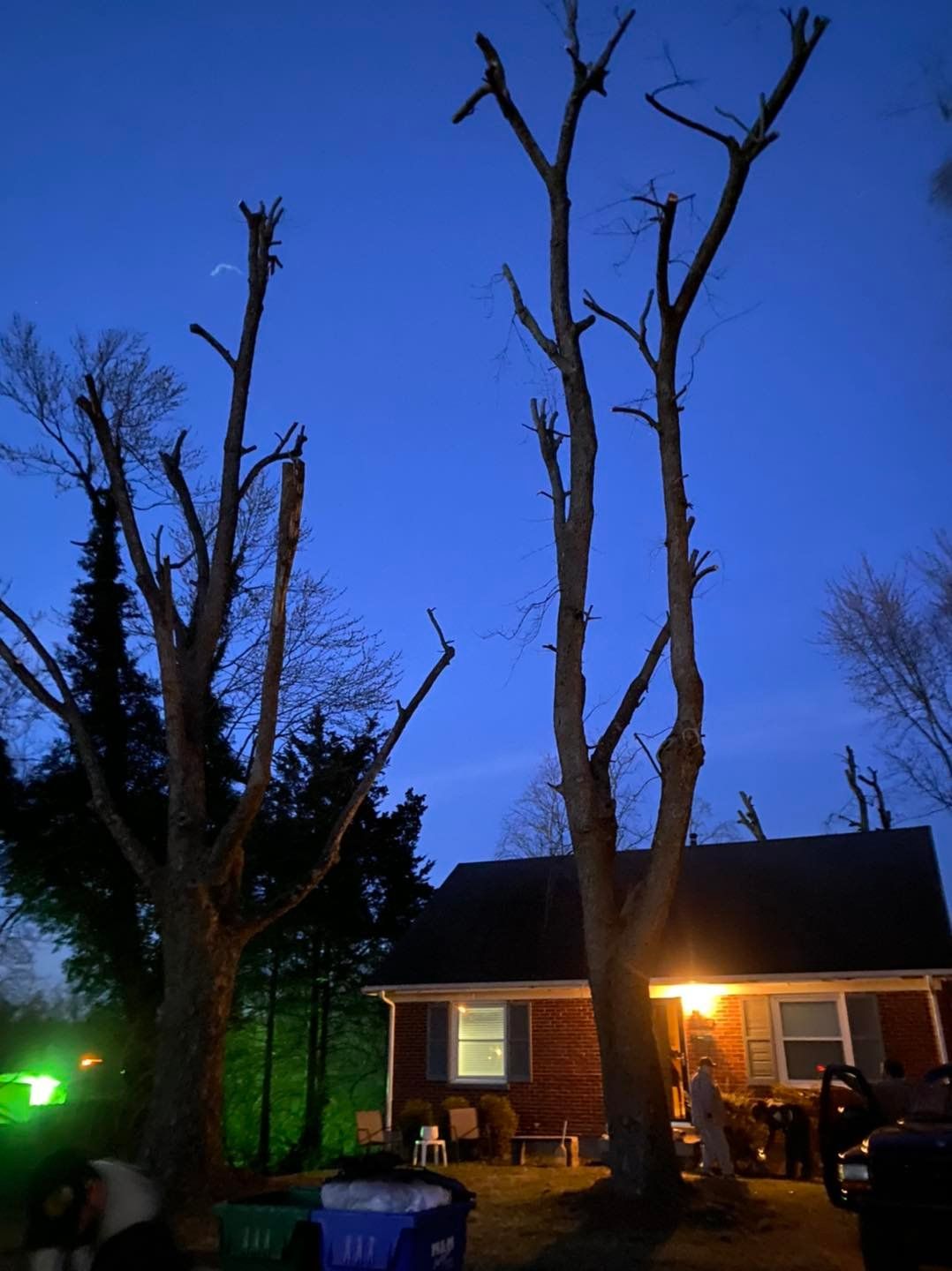  for Timber Ninja Service in Lexington, KY