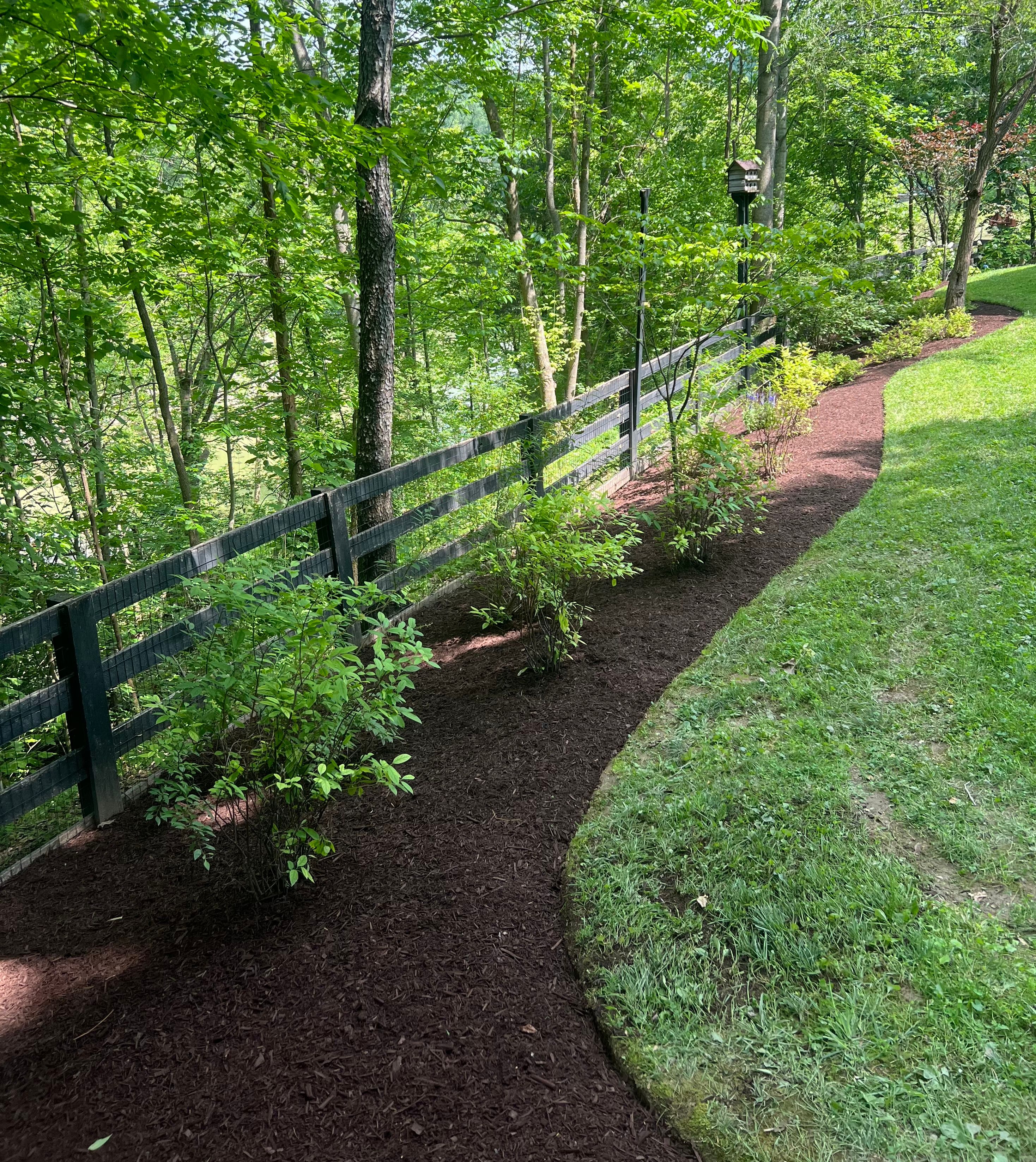  for Full Service Landscaping in Louisville, KY