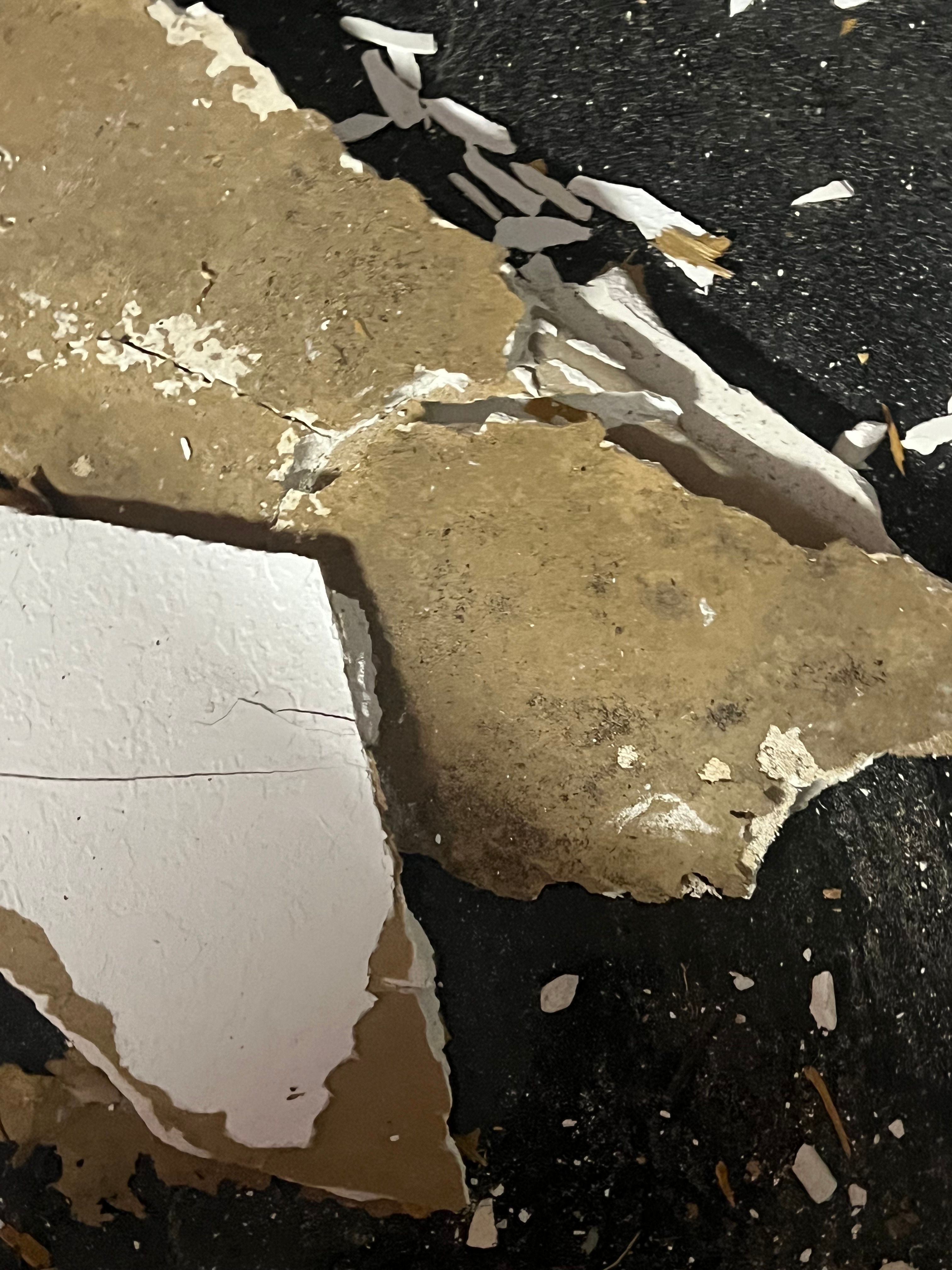  for N&D Restoration Services When Disaster Strikes, We Come In in Cape Coral,  FL