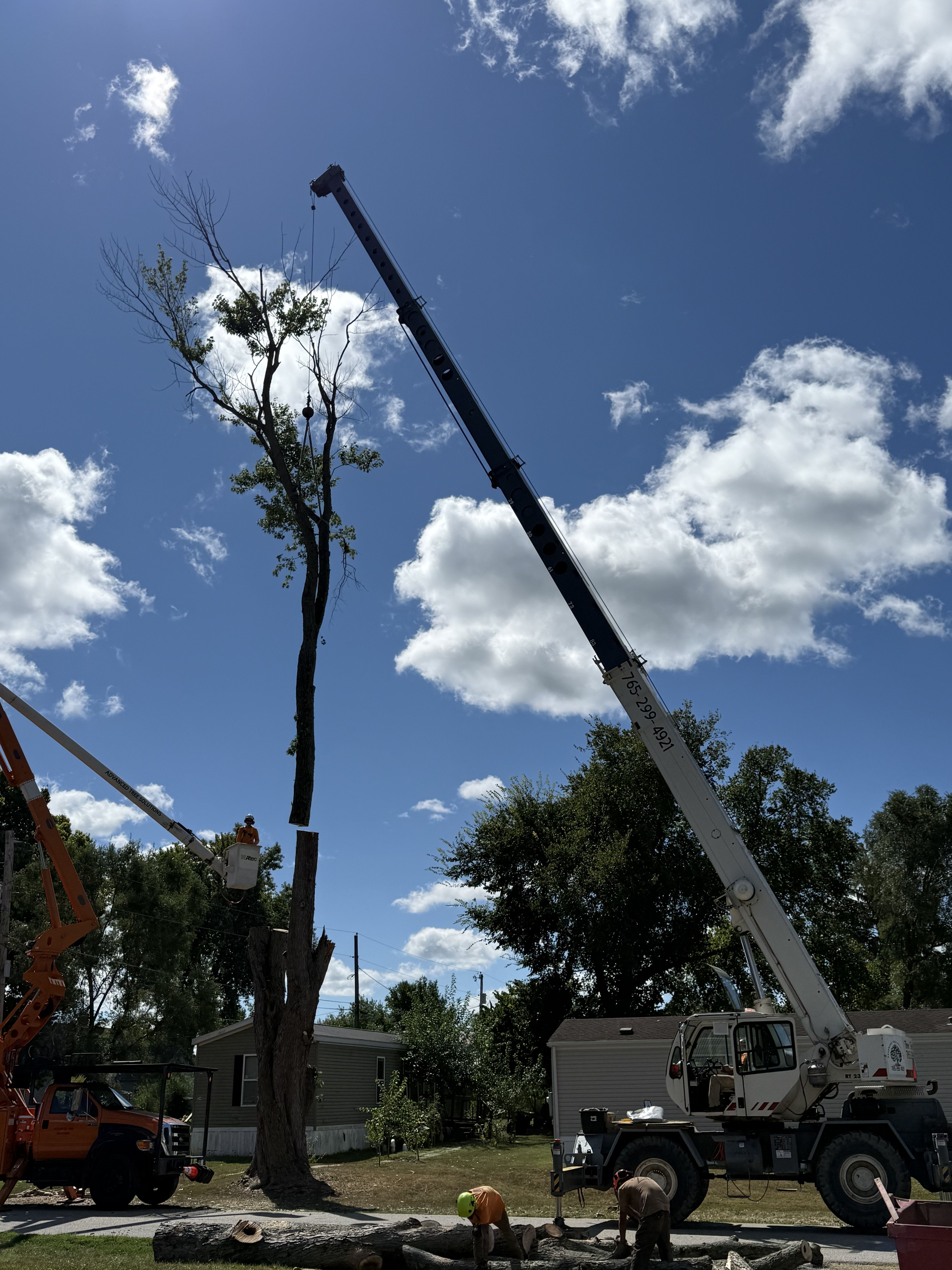  for Advanced Tree Solutions in Rockville, IN