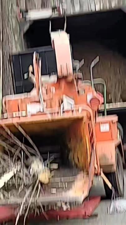  for Integrity Tree and Landscaping in Lynchburg, VA