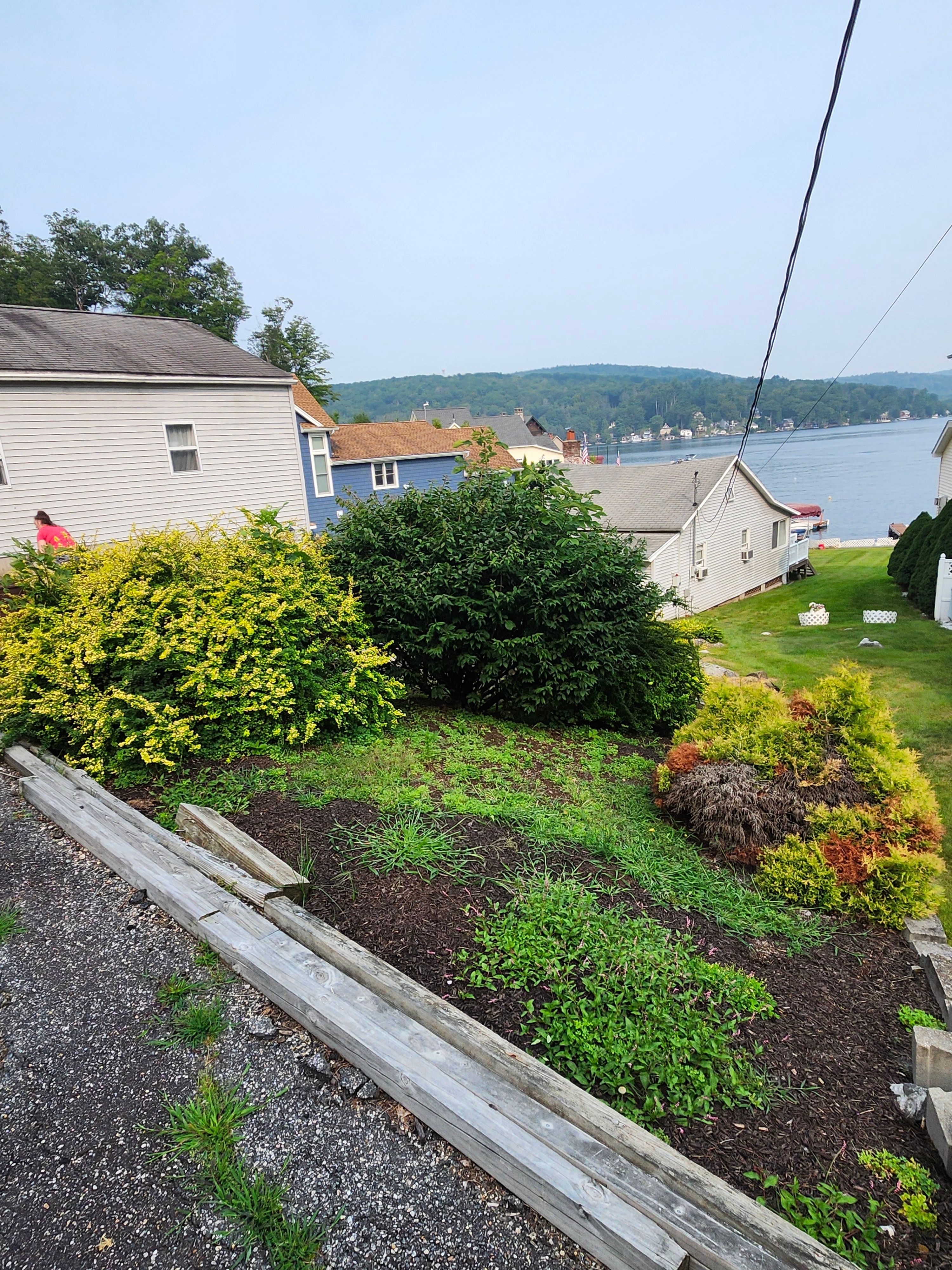 Hedge/Tree/Brush Cutting for Landscape Innovations LLC in Torrington, CT