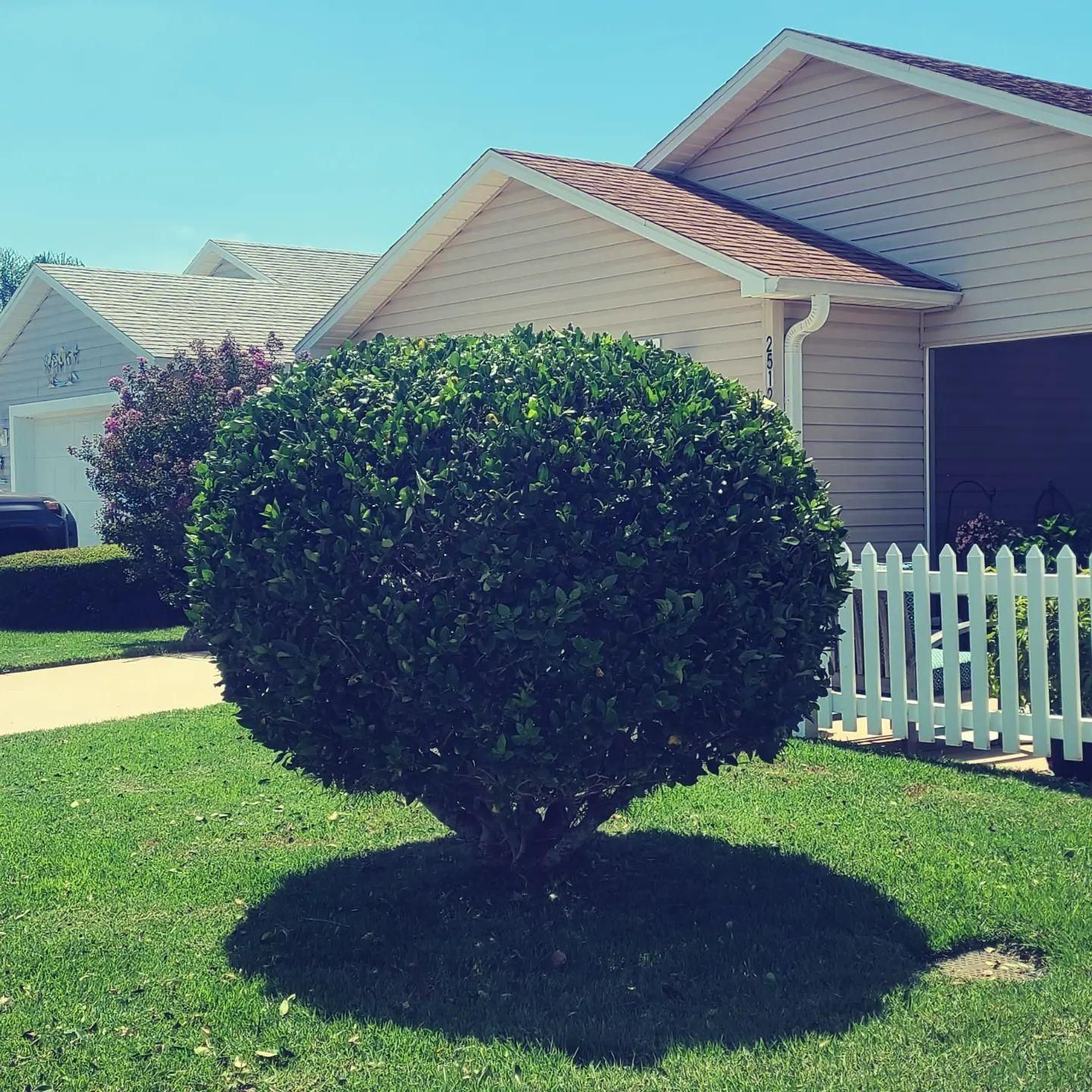  for TopNotch Landscaping Services  in The Villages, FL