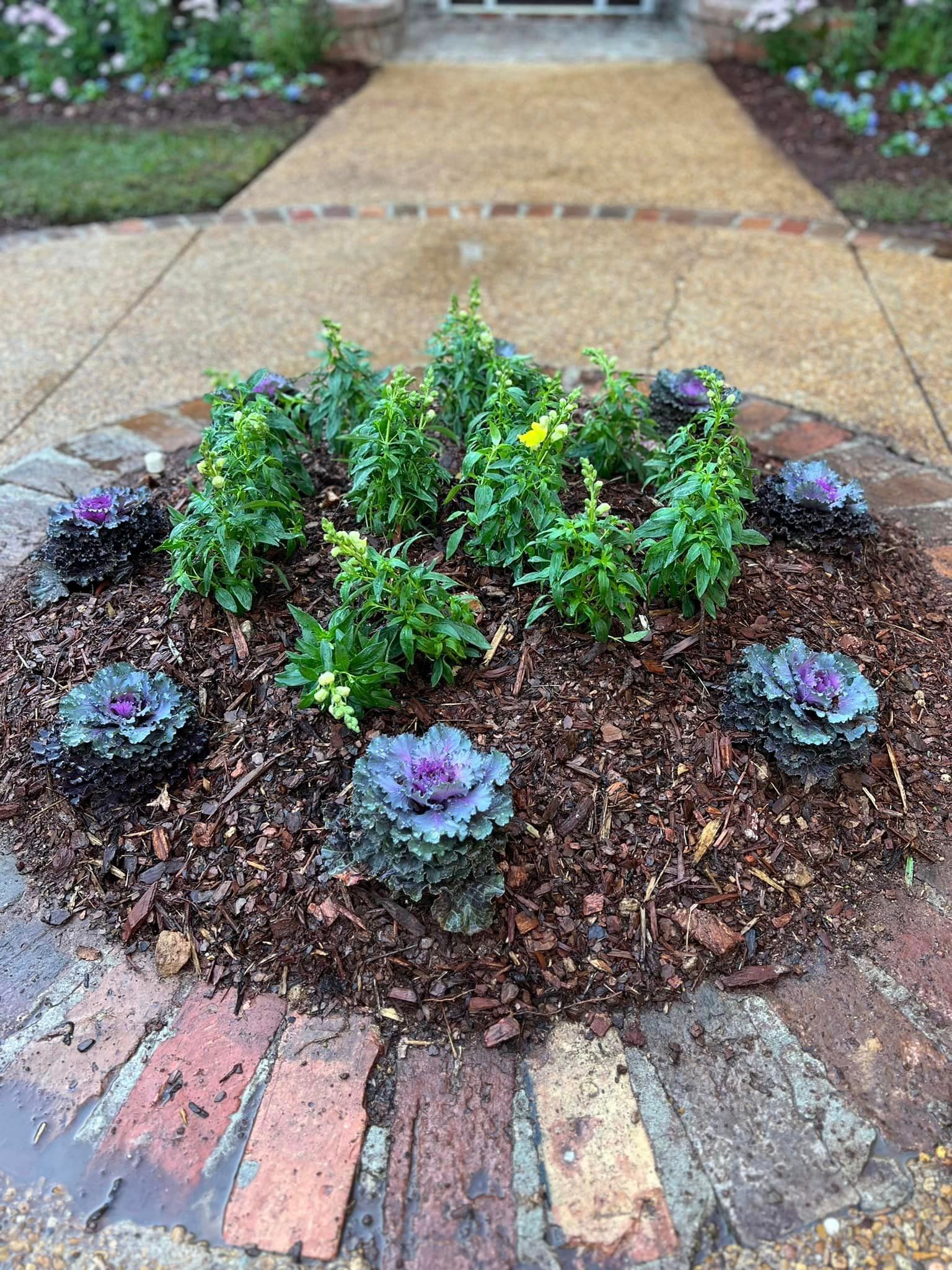  for Amis Lawn and Landscape, LLC in Clinton, MS