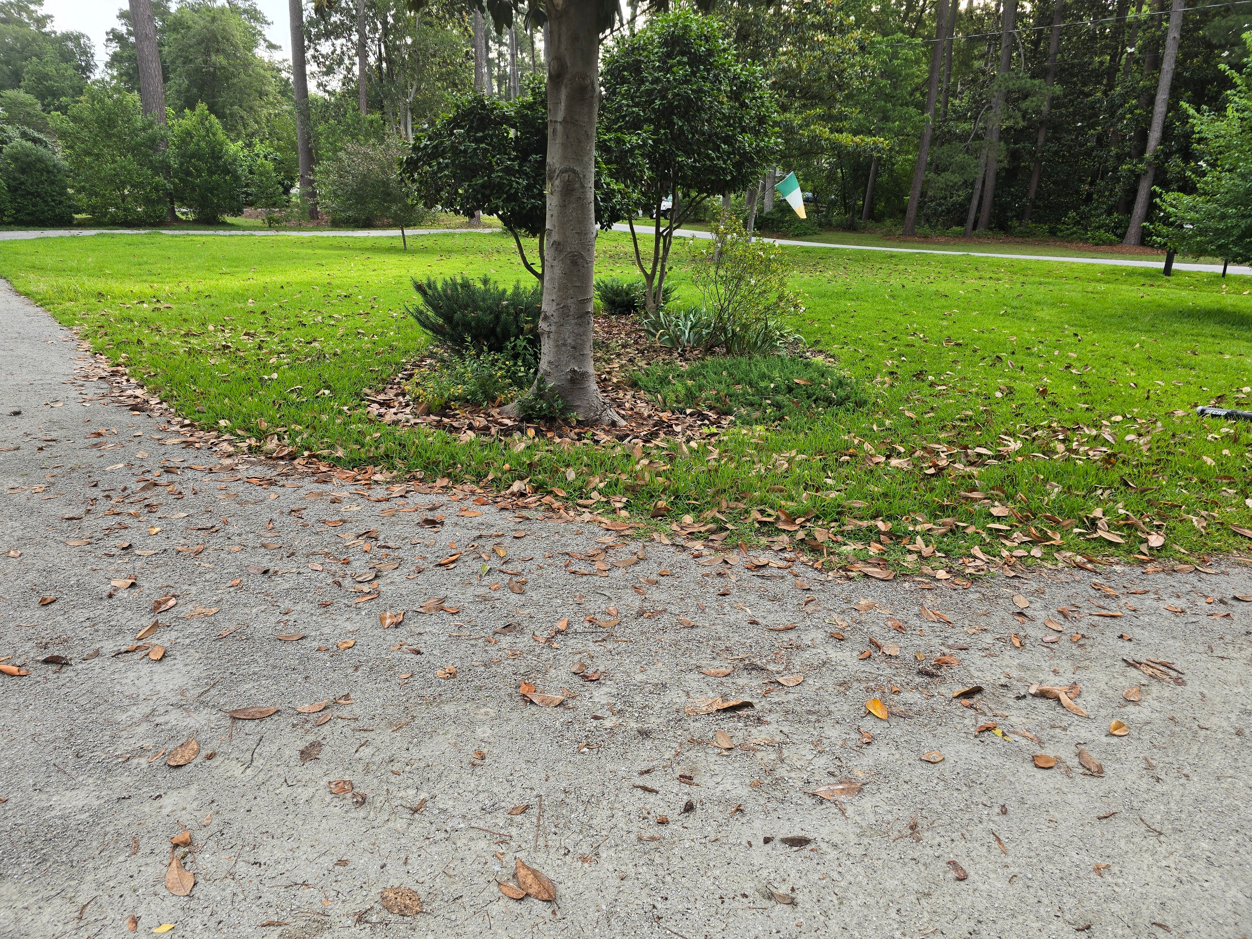  for Just Mow and Go Lawn Service, LLC in New Bern, NC