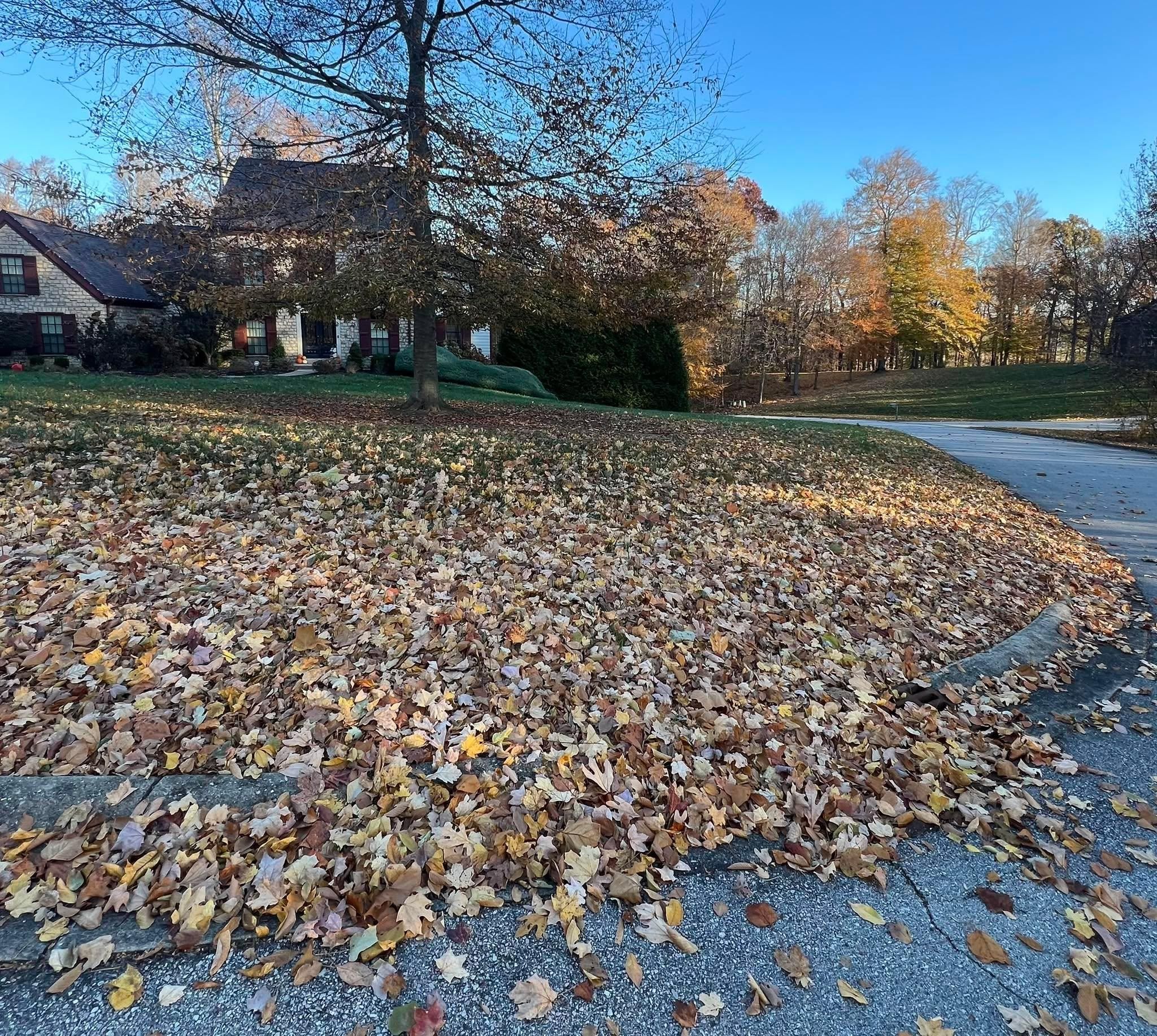  for Full Service Landscaping in Louisville, KY