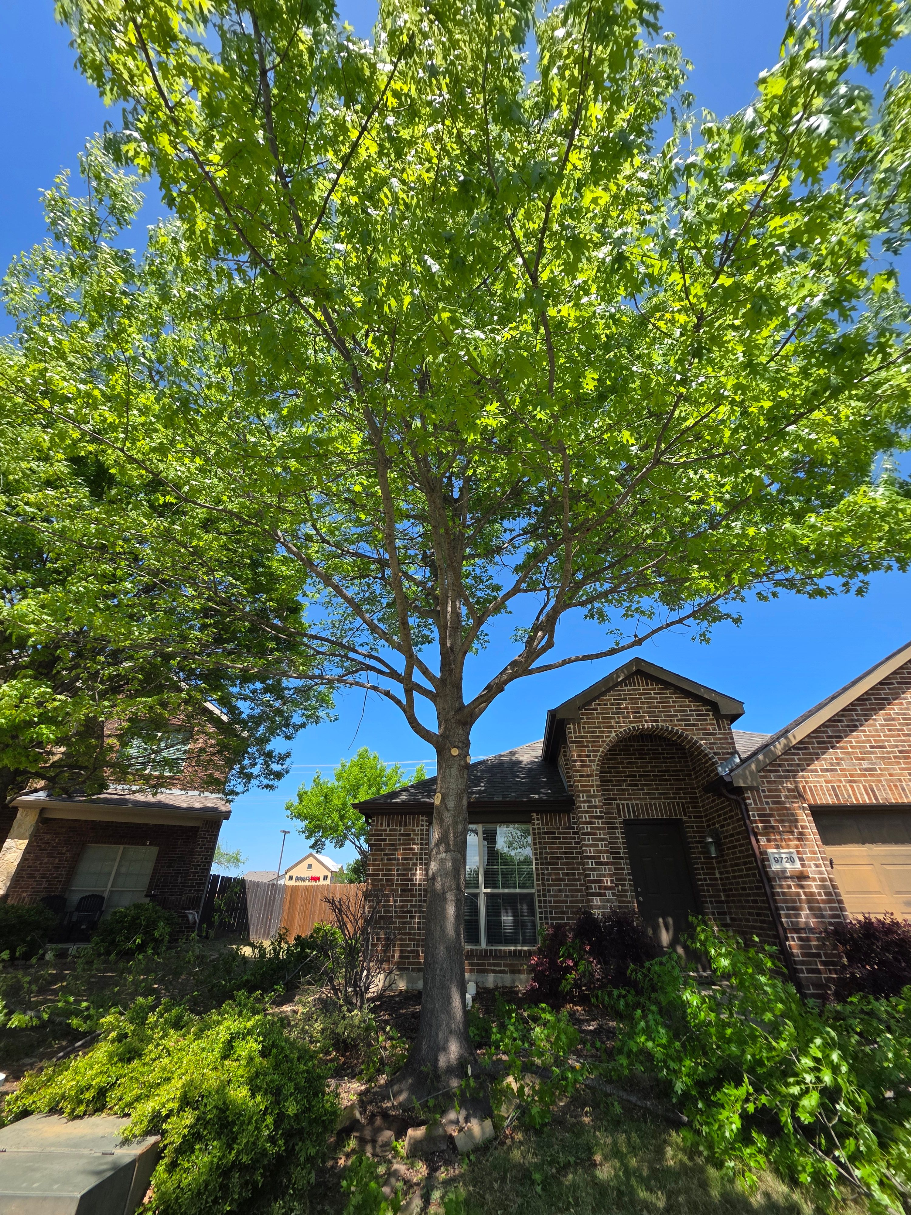  for RACSO RDZ LLC in McKinney, TX