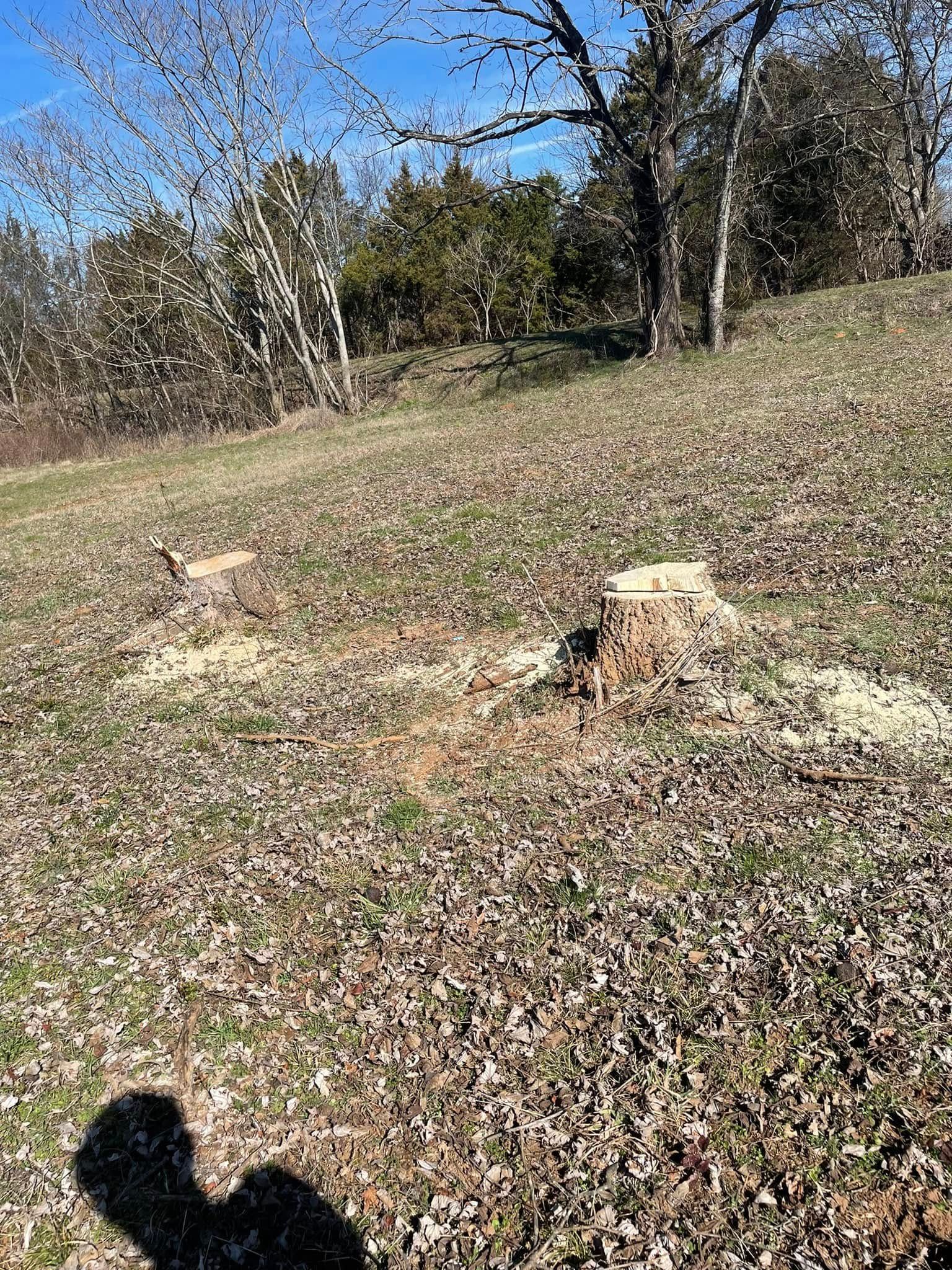  for JC Land Clearing in Shelbyville, TN
