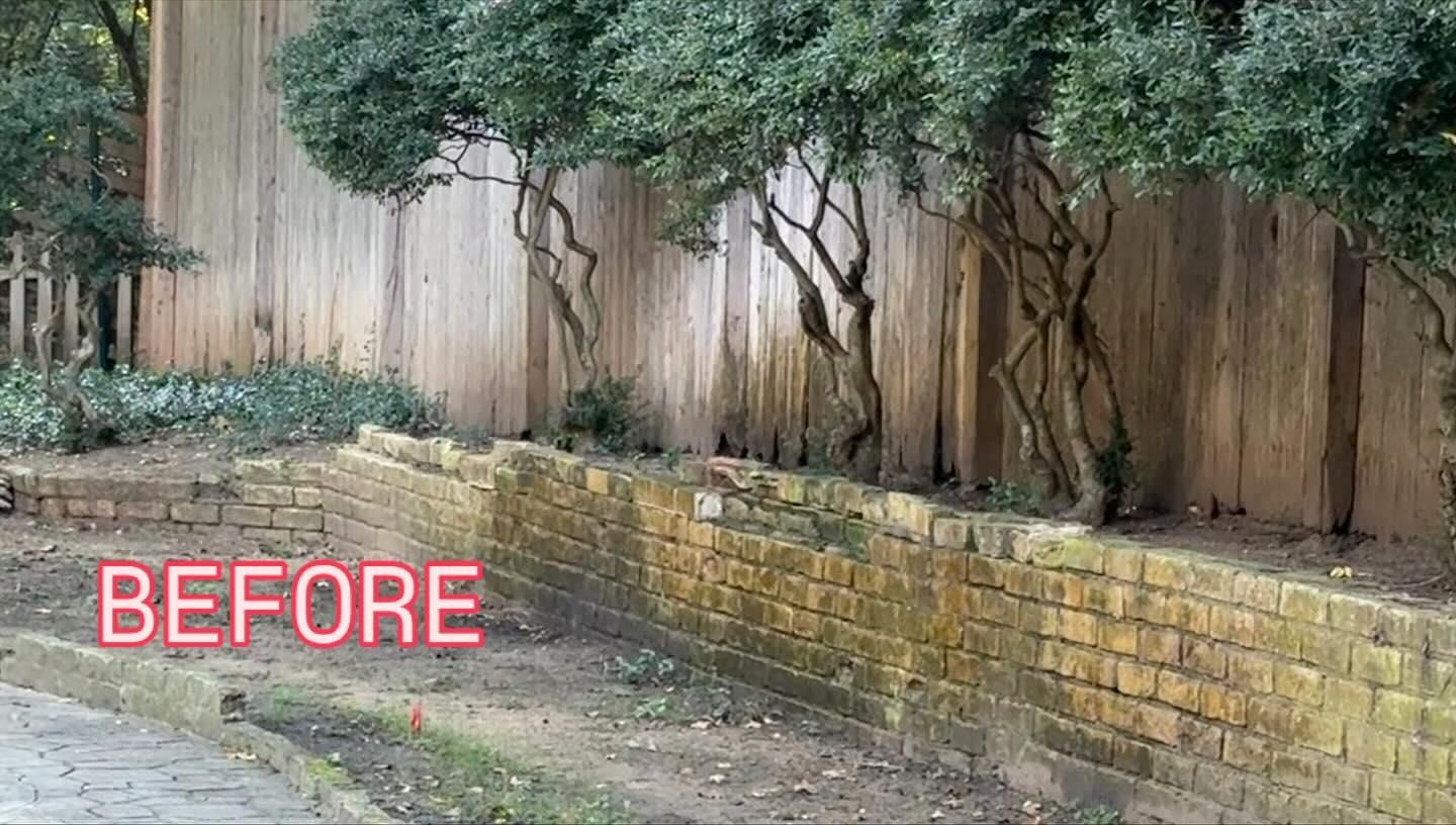  for Rojas Contractors in Fort Worth, TX