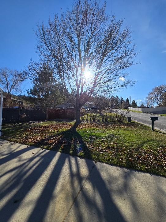  for Eagle Bay Lawn & Landscape LLC in Helena, MT