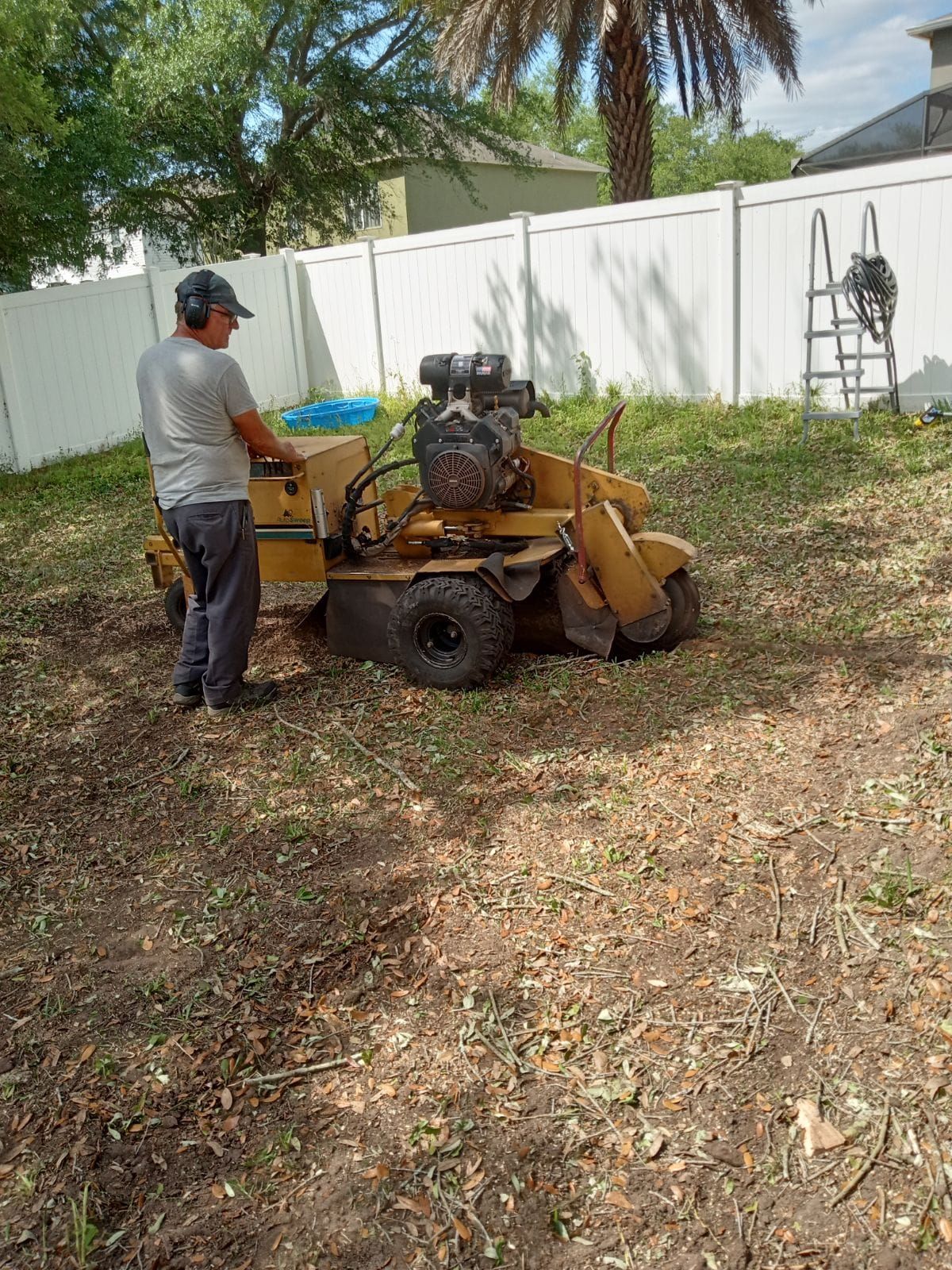  for A Southern Style Tree Service in Orlando, FL