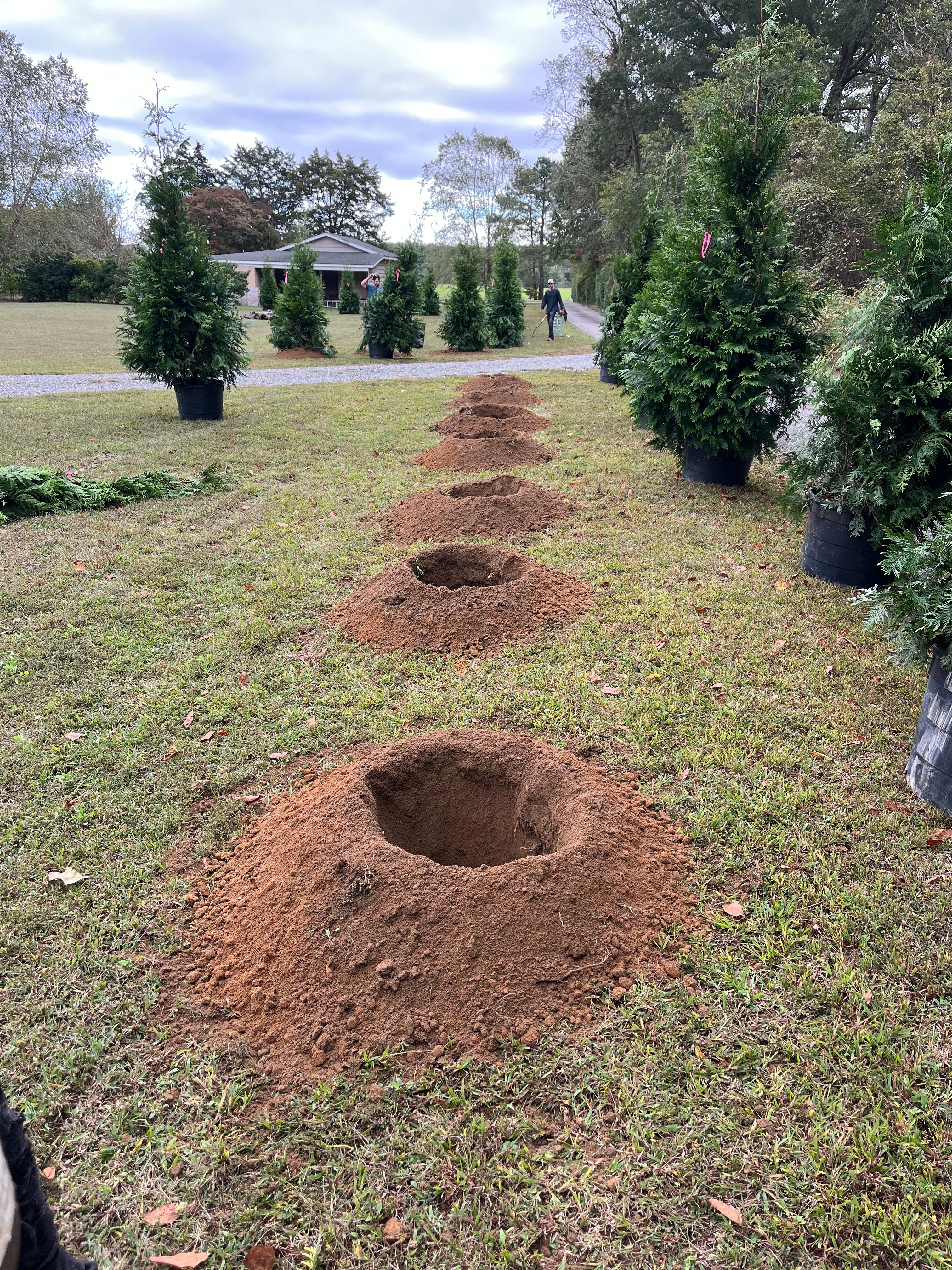  for Atlas Home Services in Mechanicsville, VA