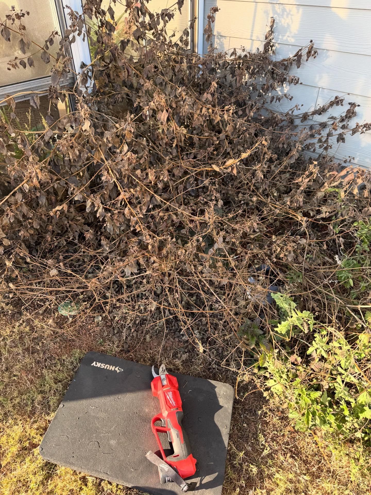  for Shang's Landscaping Service in Columbia, South Carolina