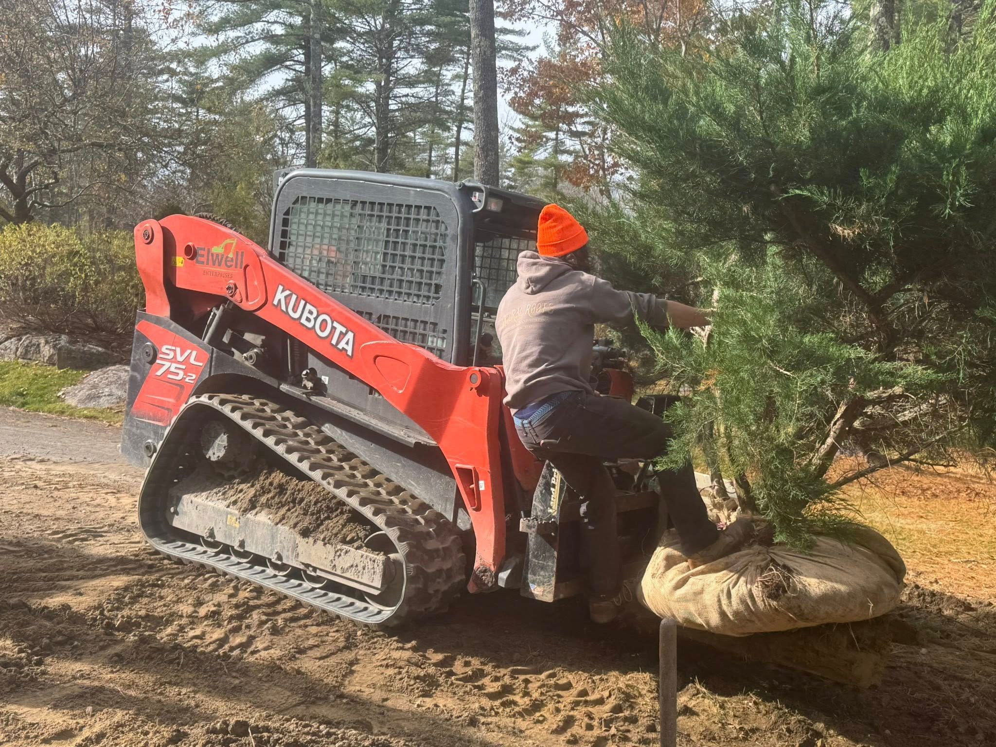  for Natural Roots Inc in Georgetown, ME