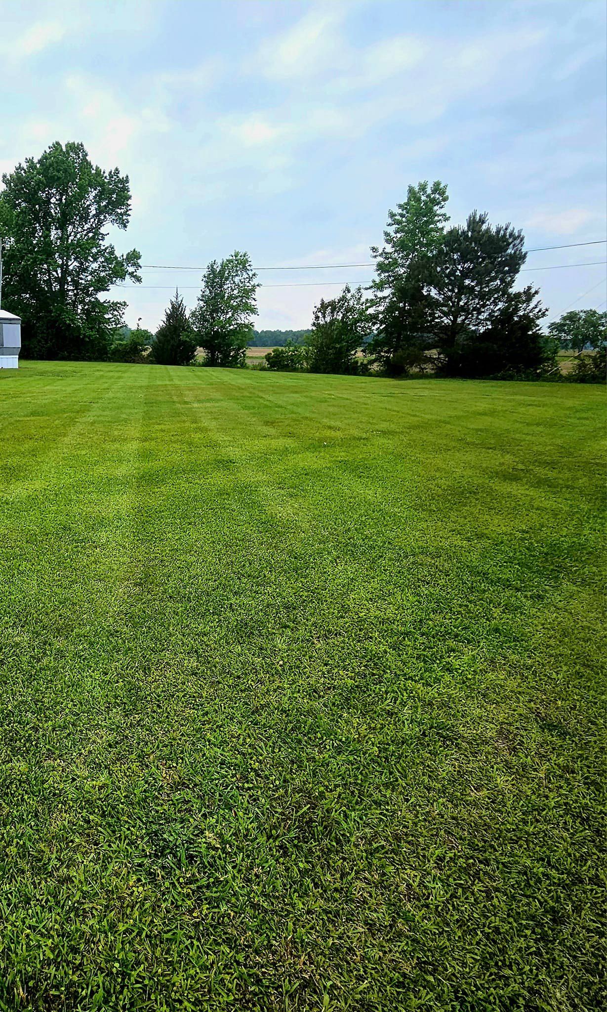 Beautiful Lawns for Natures Accent in Wilson, NC