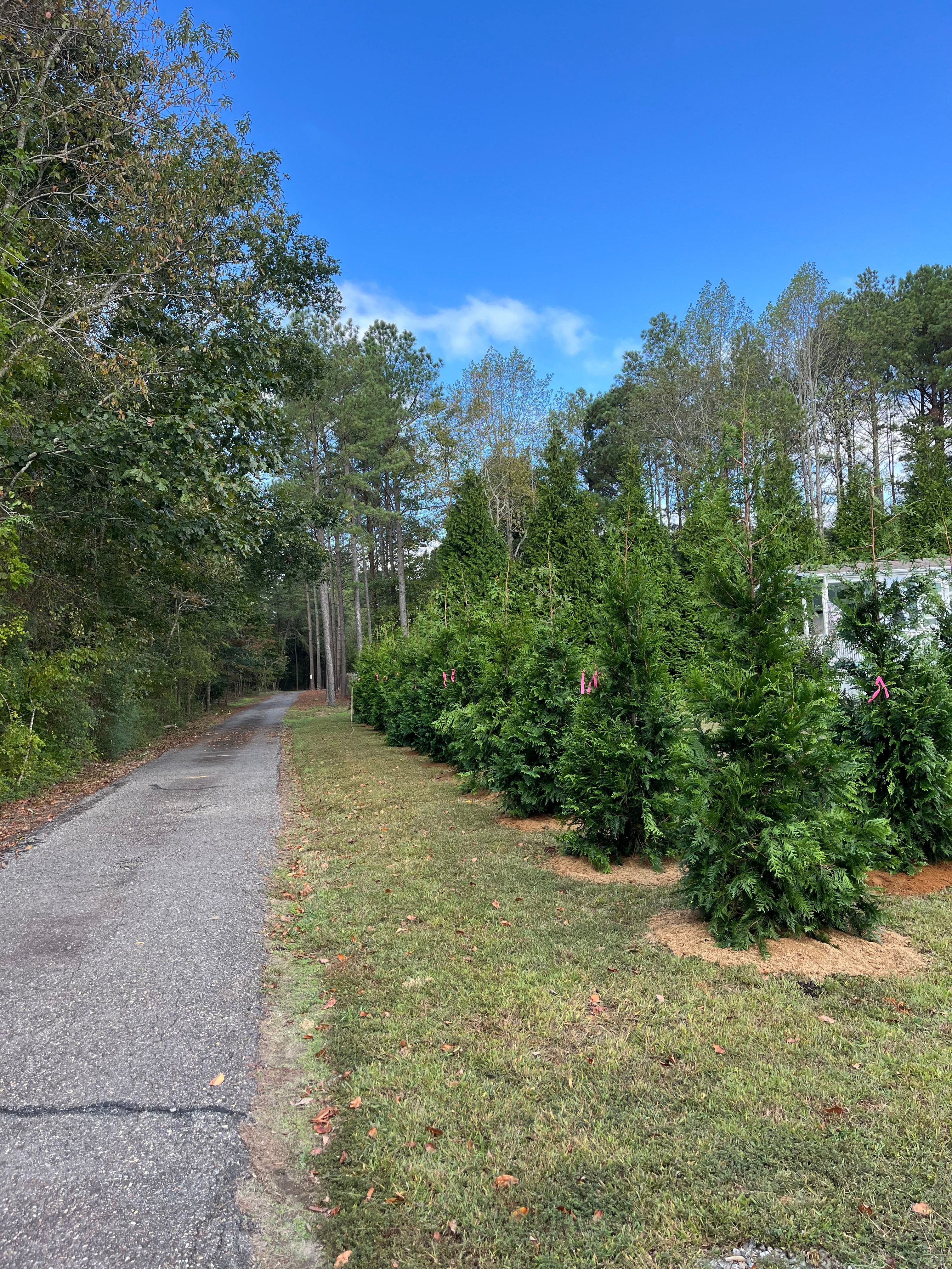  for Atlas Home Services in Mechanicsville, VA