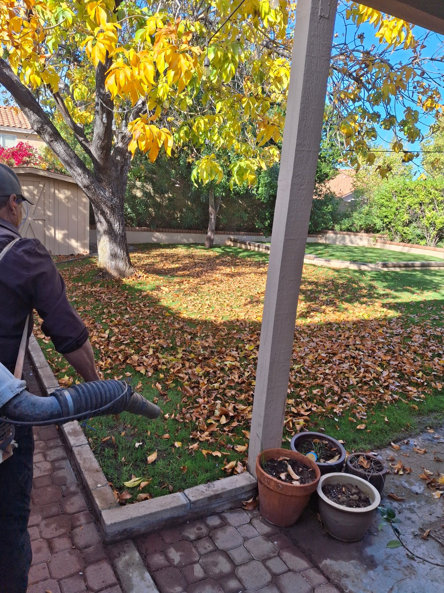  for Family Landscaping in Phoenix, AZ