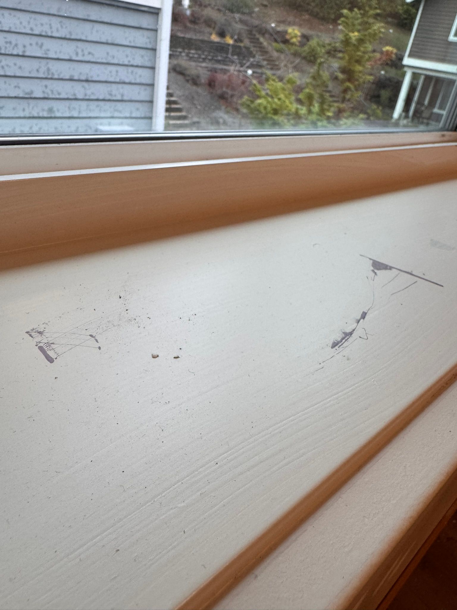  for Tony's Remodeling & Painting in Renton, WA