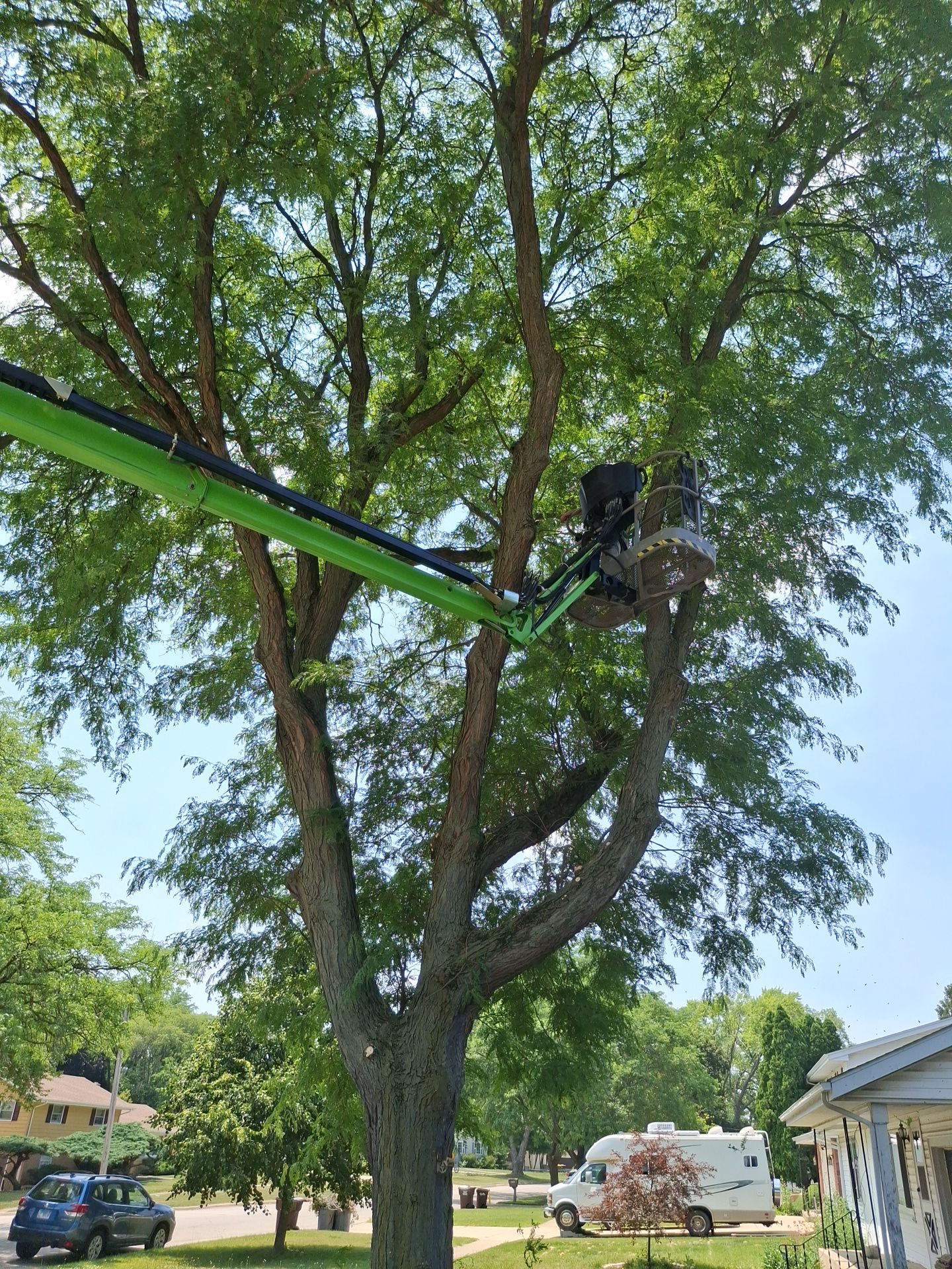 Tree Removal for Olson Tree Service, Inc in Rockford, IL