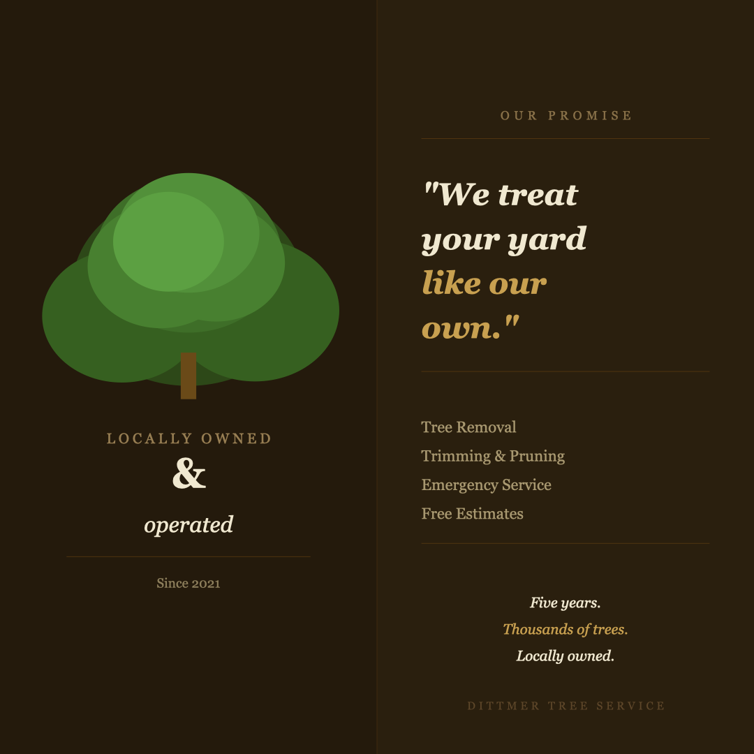 All Photos for Dittmer Tree Service in Davenport, IA