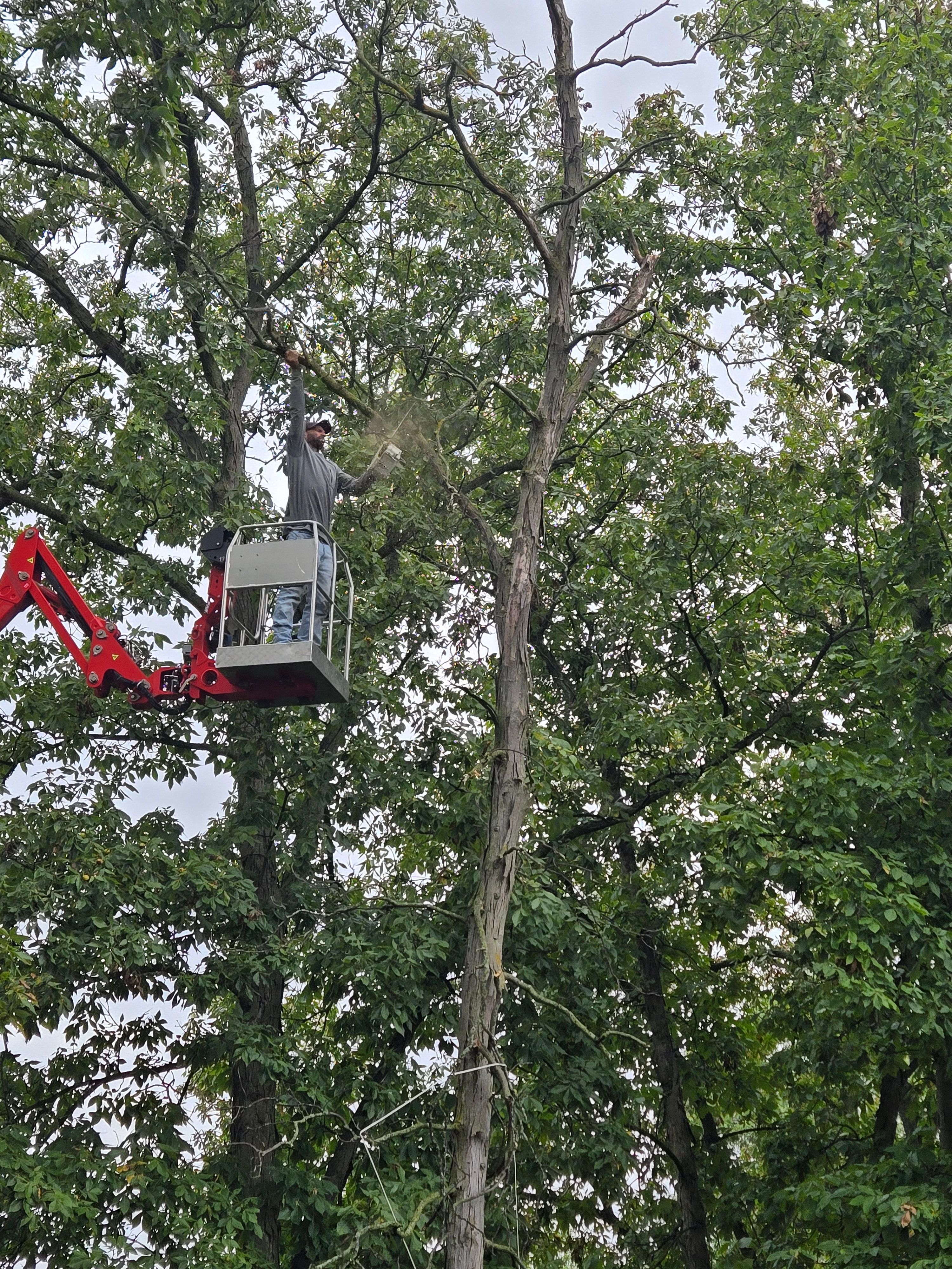 for Lawn Ranger Yard And Tree Service LLC in Ottumwa, IA