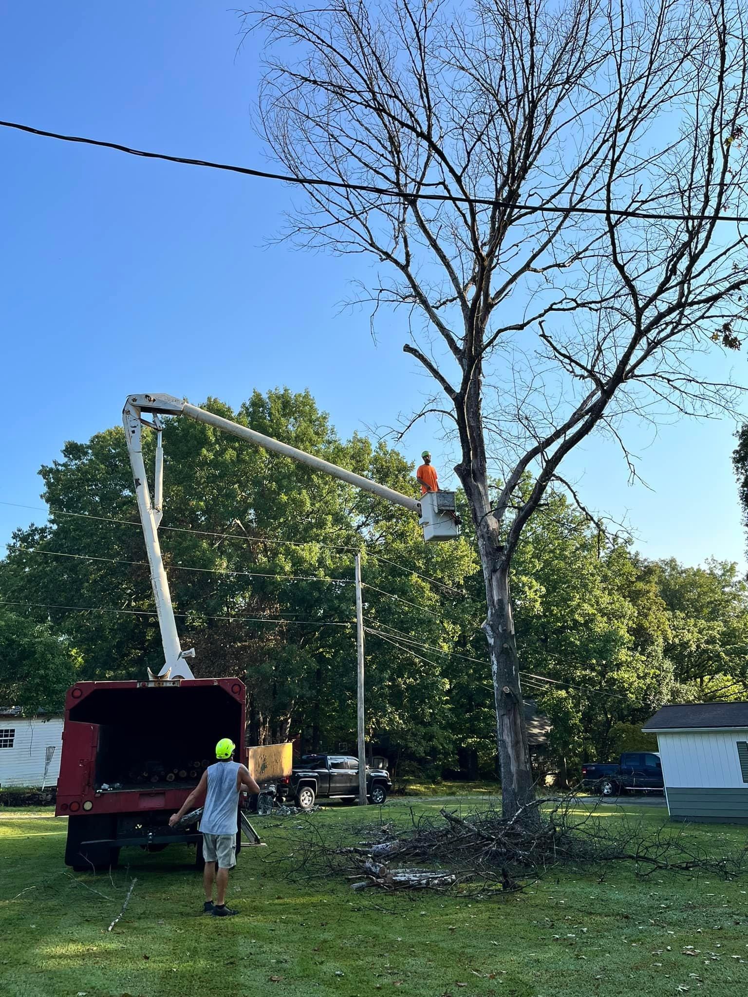  for H n H Tree Service in Taneyville, MO