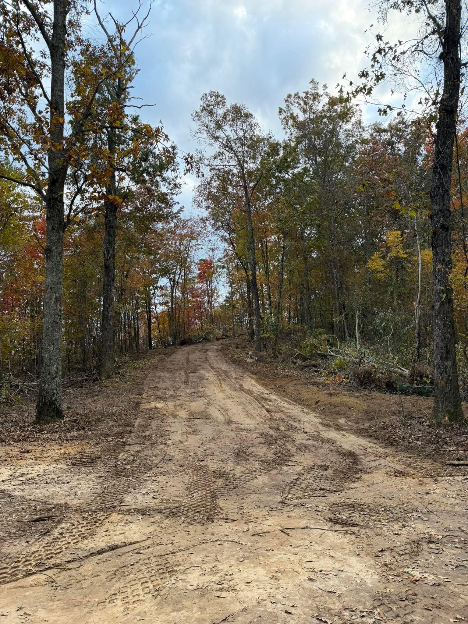  for Collins Constructors in Fyffe, AL