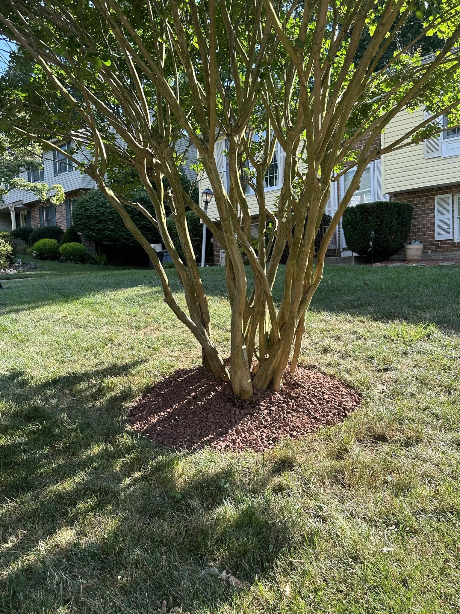 Lawn Care for A Better Lawn Service LLC in Bel Air, MD